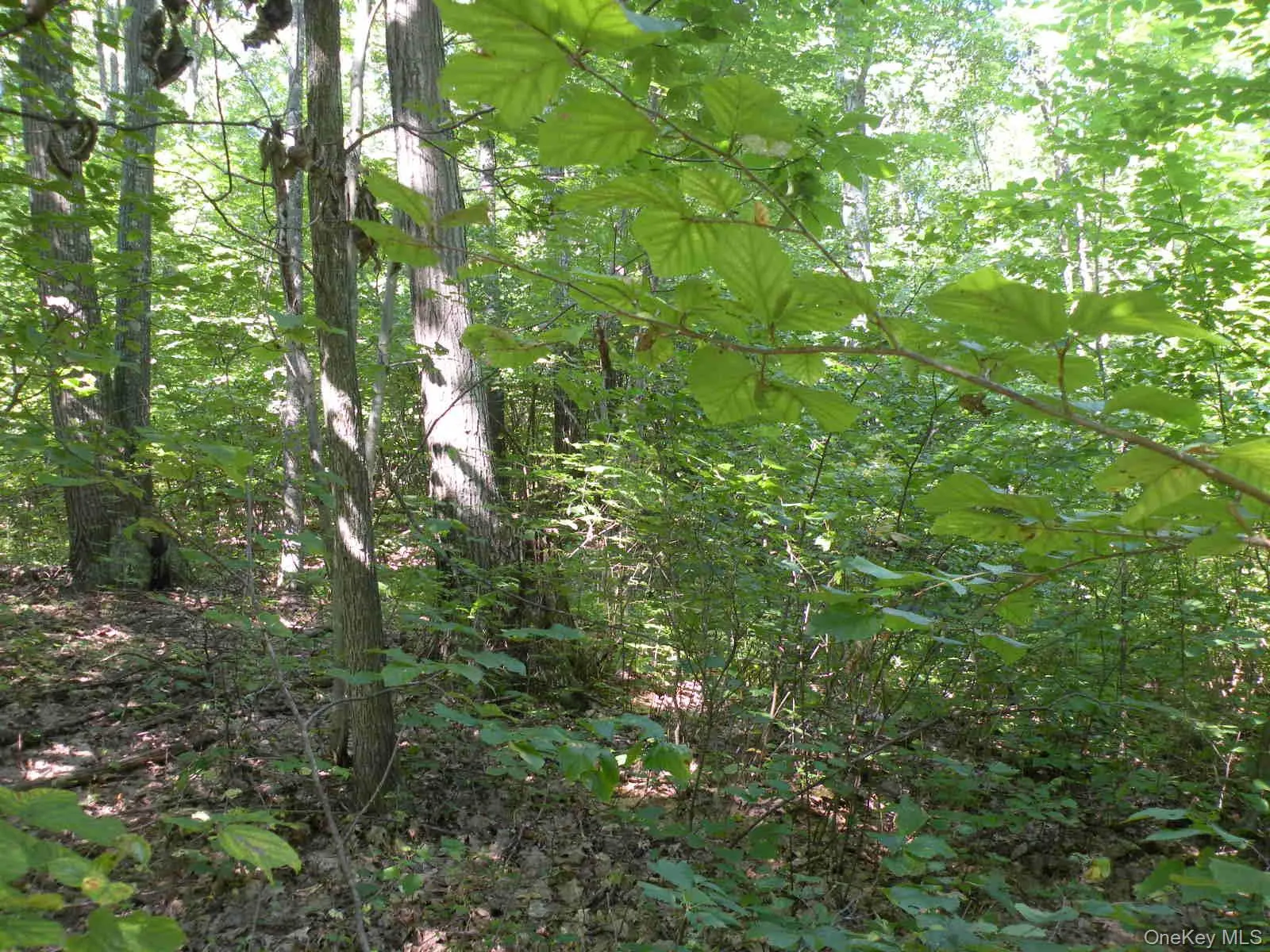 618 Bean River Road, Pine Plains, NY, 2 Bedrooms Bedrooms, 3 Rooms Rooms,1 BathroomBathrooms,Residential,For Rent,Bean River,0,KEY1017861 618 Bean River Road, Pine Plains, NY, 2 Bedrooms Bedrooms, 3 Rooms Rooms,1 BathroomBathrooms,Residential,For Rent,Bean River,0,KEY1017861