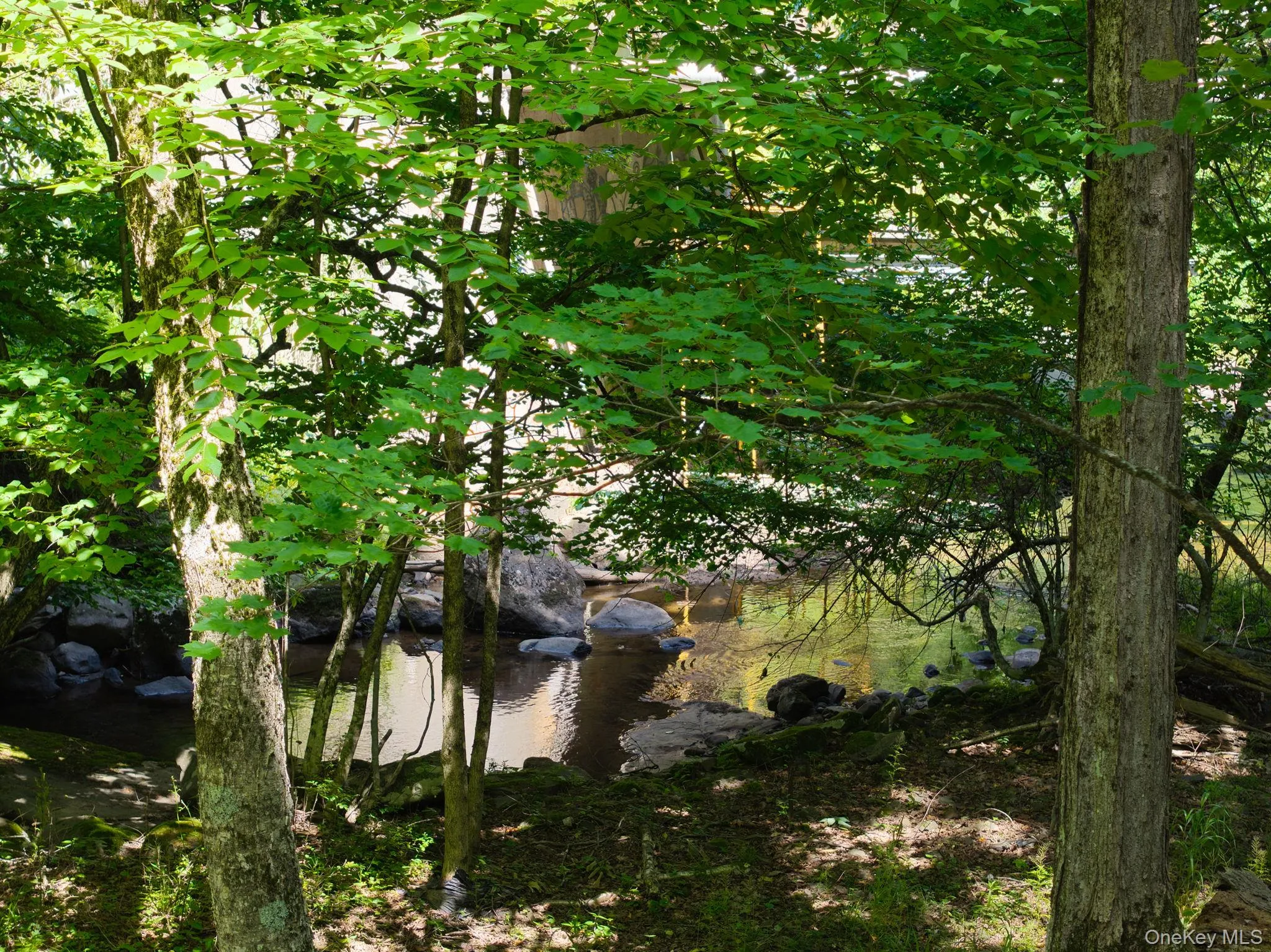 10 Church Road, Fallsburg, NY, 2 Bedrooms Bedrooms, 5 Rooms Rooms,1 BathroomBathrooms,Residential,For Rent,Church,0,1017864 10 Church Road, Fallsburg, NY, 2 Bedrooms Bedrooms, 5 Rooms Rooms,1 BathroomBathrooms,Residential,For Rent,Church,0,1017864