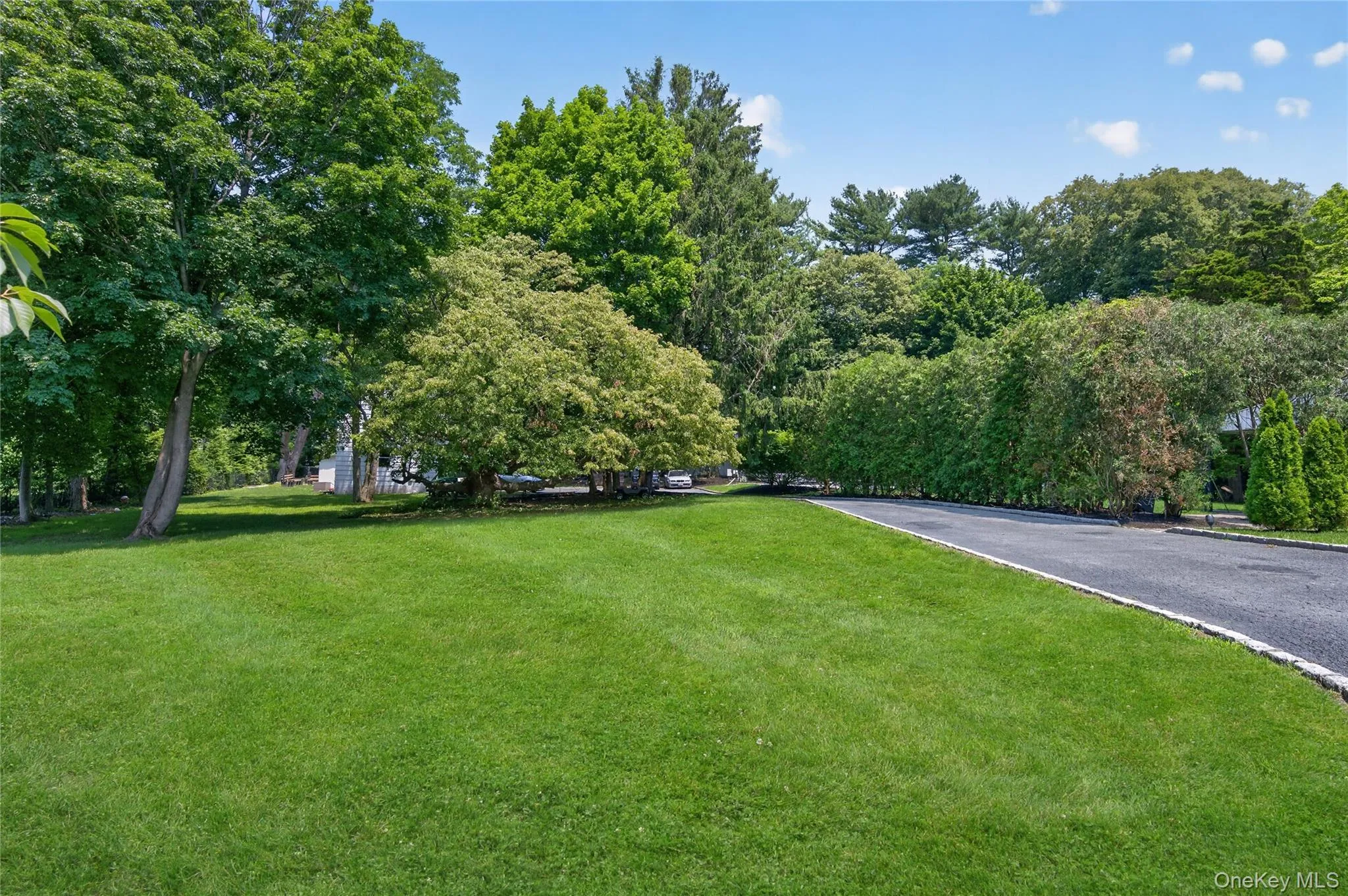 Lawn Lawn