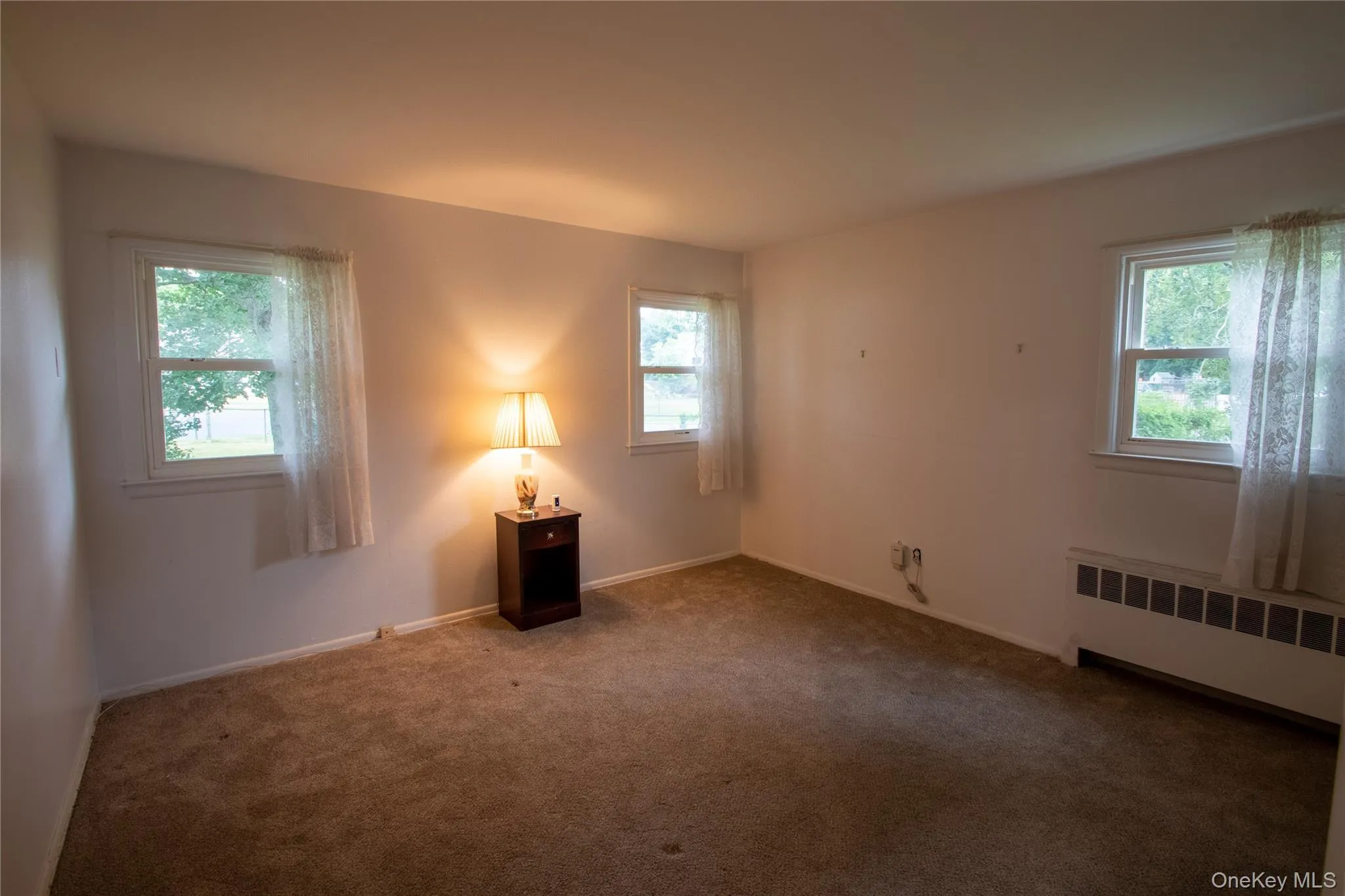 Carpeted interior space featuring white walls and multiple windows with white trim Carpeted interior space featuring white walls and multiple windows with white trim