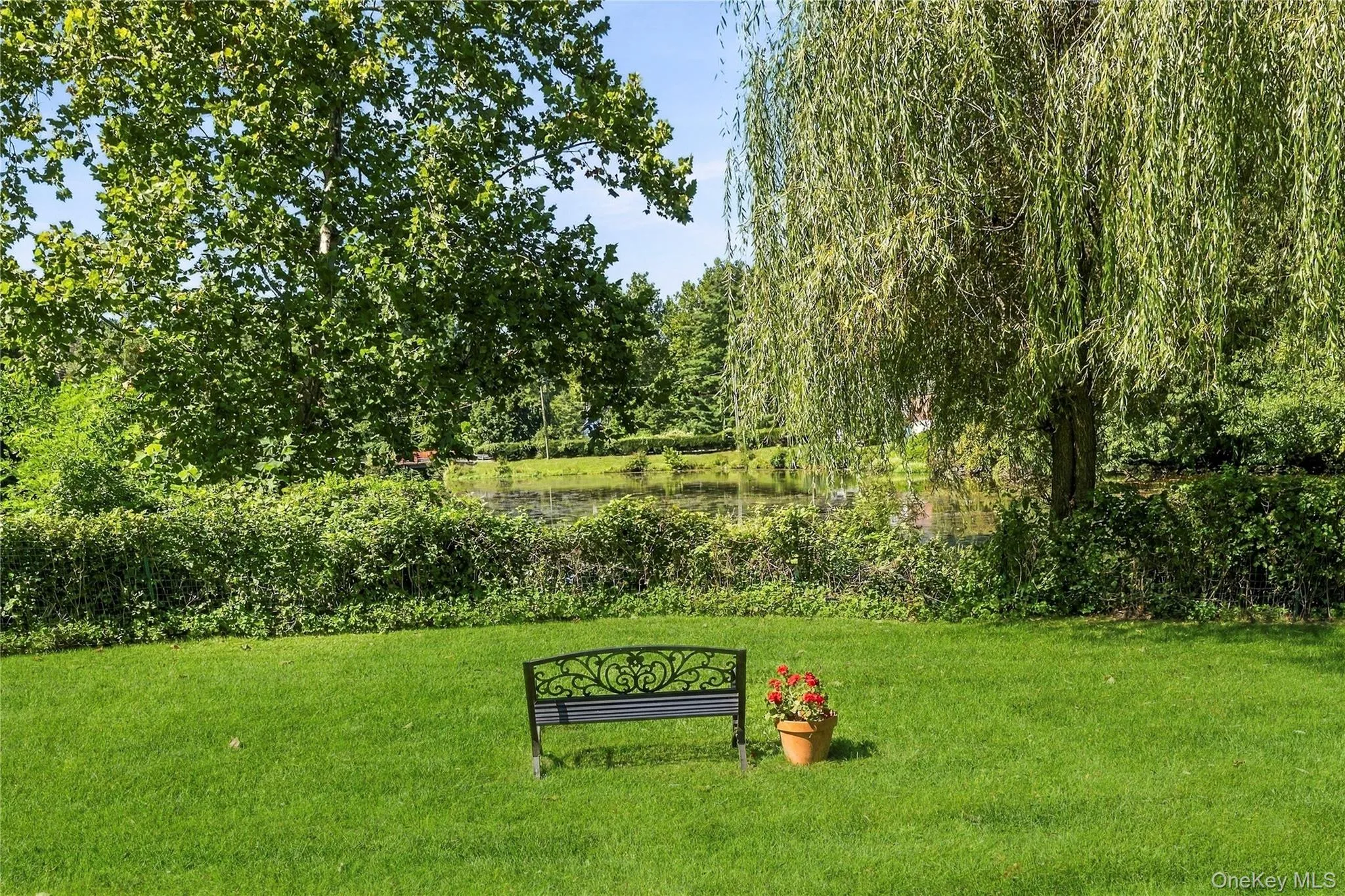 Serene Outdoor Space Serene Outdoor Space