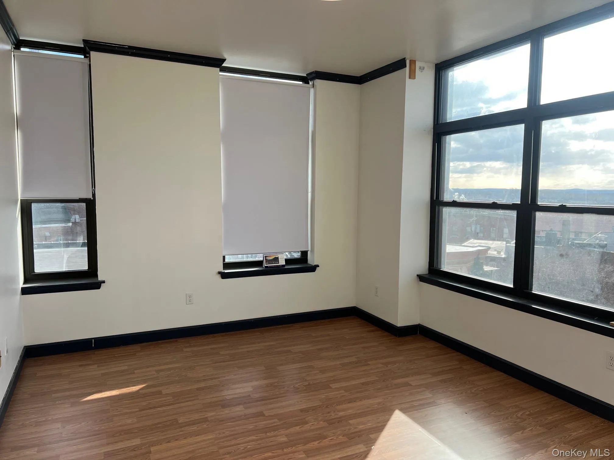 Unfurnished room with hardwood / wood-style flooring, plenty of natural light, and ornamental molding Unfurnished room with hardwood / wood-style flooring, plenty of natural light, and ornamental molding