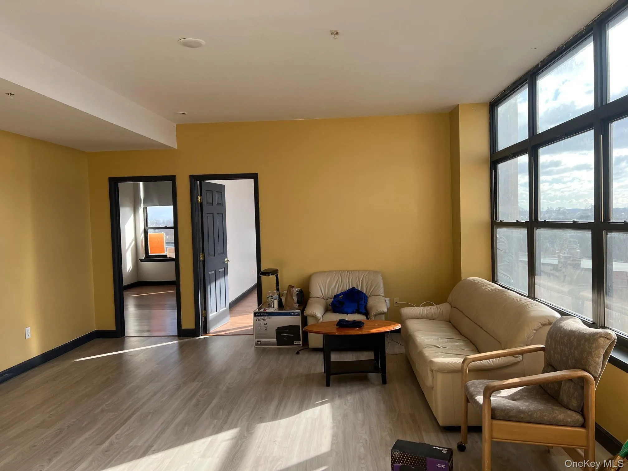Living room featuring wood-type flooring and a wealth of natural light Living room featuring wood-type flooring and a wealth of natural light
