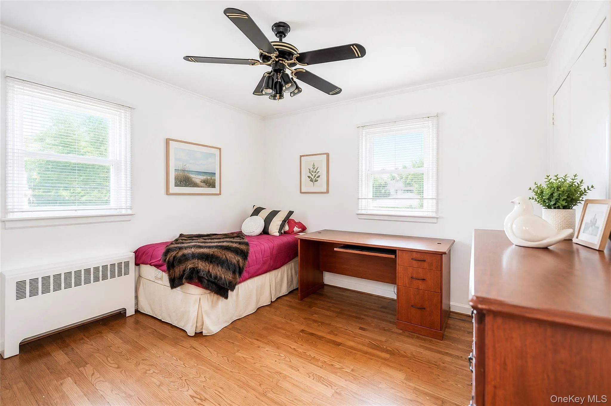 3399 Harold Street, Hempstead, NY, 4 Bedrooms Bedrooms, 10 Rooms Rooms,2 BathroomsBathrooms,Residential,For Rent,Harold,0,1017998 3399 Harold Street, Hempstead, NY, 4 Bedrooms Bedrooms, 10 Rooms Rooms,2 BathroomsBathrooms,Residential,For Rent,Harold,0,1017998