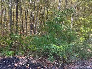 0 Budd Lane, North East, NY, ,Land,For Rent,Budd,0,1018006 0 Budd Lane, North East, NY, ,Land,For Rent,Budd,0,1018006