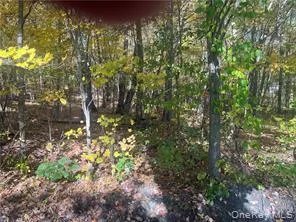 0 Budd Lane, North East, NY, ,Land,For Rent,Budd,0,1018006 0 Budd Lane, North East, NY, ,Land,For Rent,Budd,0,1018006