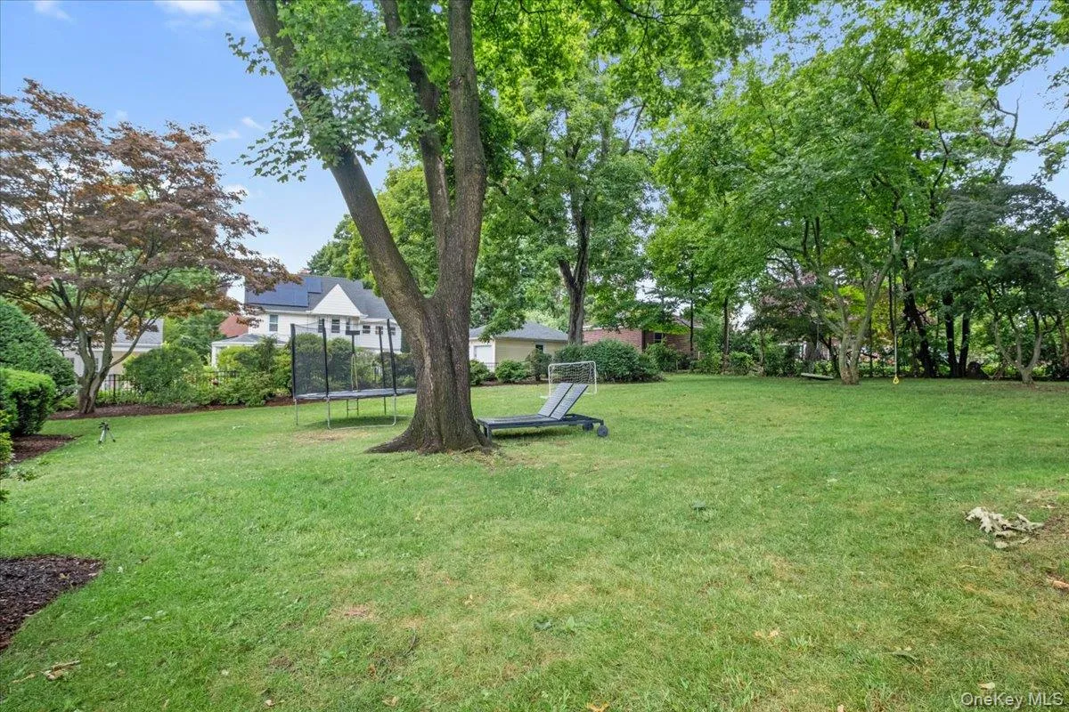 Expansive grassy yard Expansive grassy yard