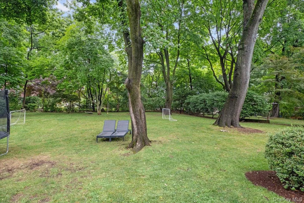 Expansive grassy lawn with mature trees and perimeter shrubbery Expansive grassy lawn with mature trees and perimeter shrubbery
