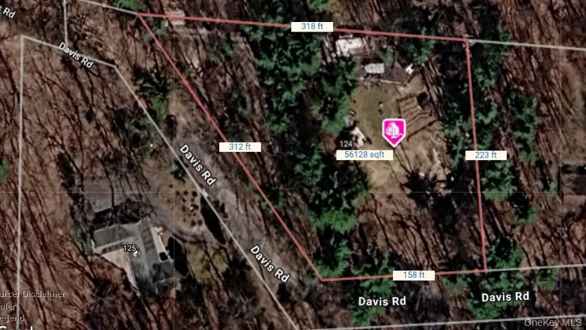 Sat Image 1.32 acres and lot dimensions Sat Image 1.32 acres and lot dimensions