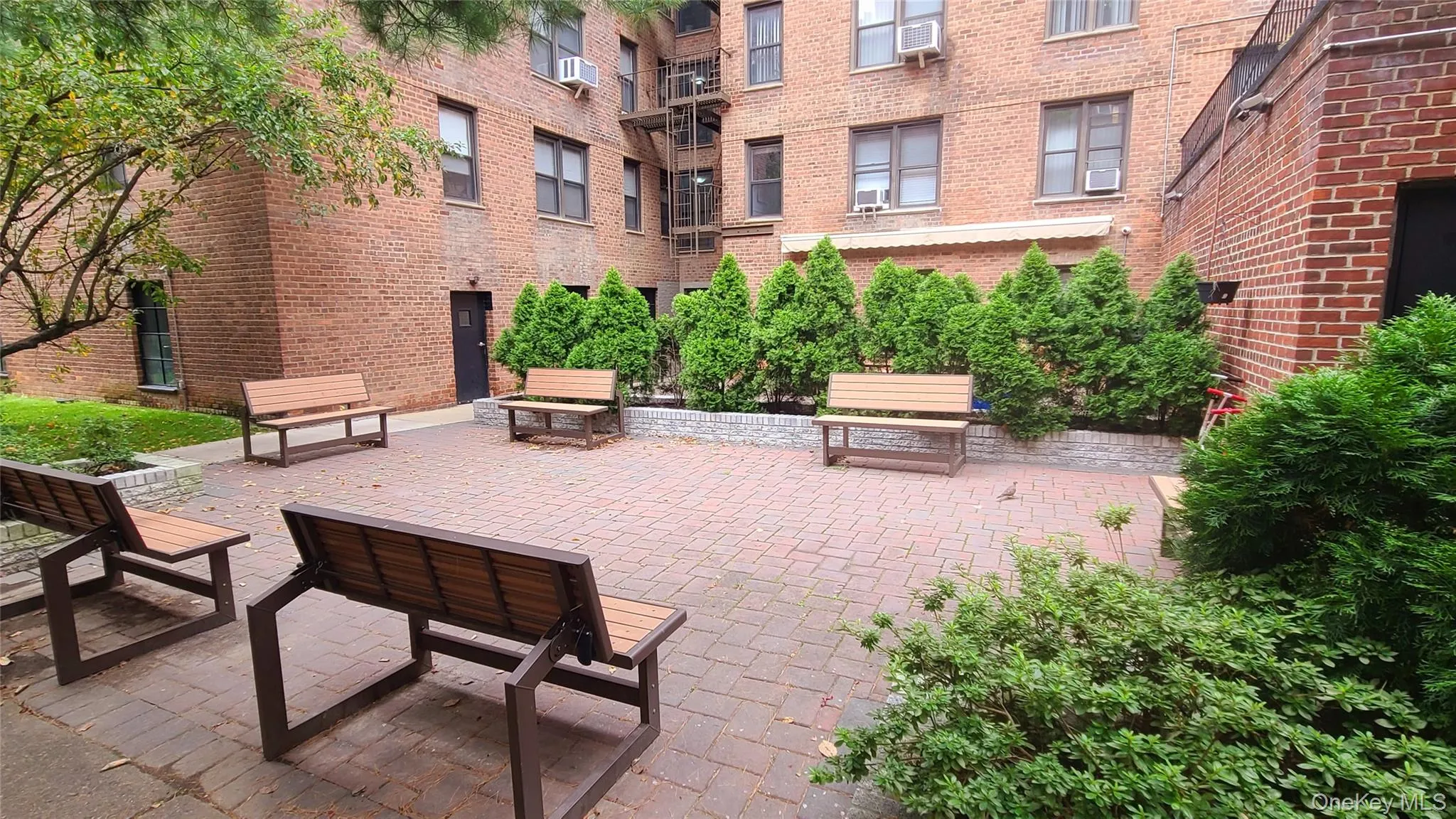 105-15 66th Road, New York, NY, 1 Bedroom Bedrooms, 3 Rooms Rooms,1 BathroomBathrooms,Residential,For Rent,66th,0,1018027 105-15 66th Road, New York, NY, 1 Bedroom Bedrooms, 3 Rooms Rooms,1 BathroomBathrooms,Residential,For Rent,66th,0,1018027
