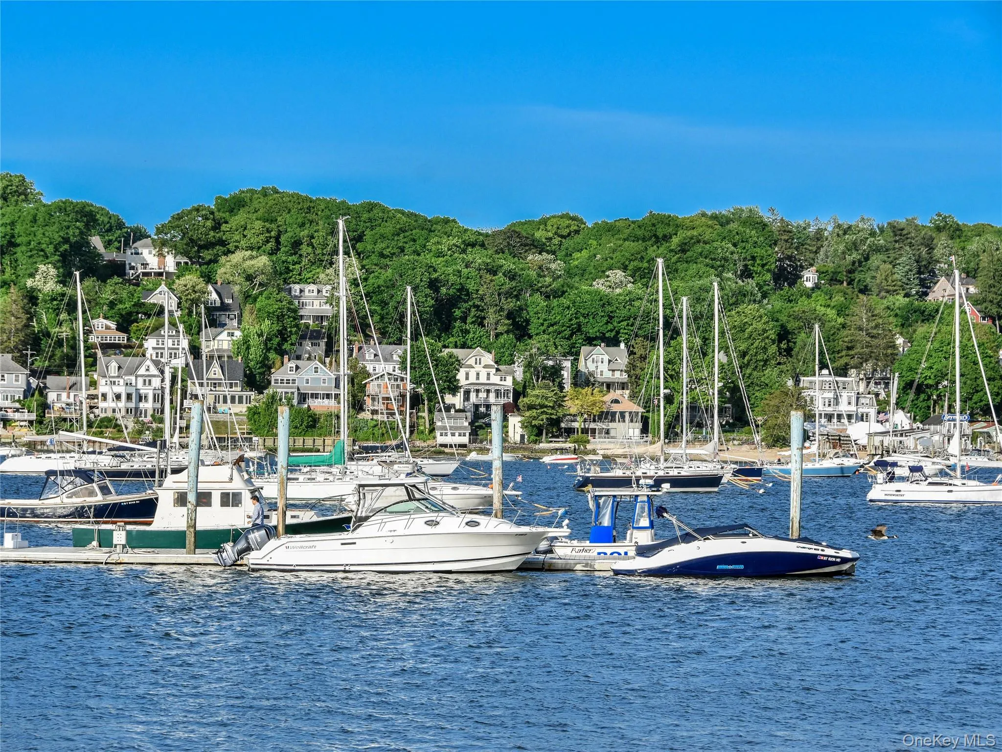Nearby harbor Nearby harbor