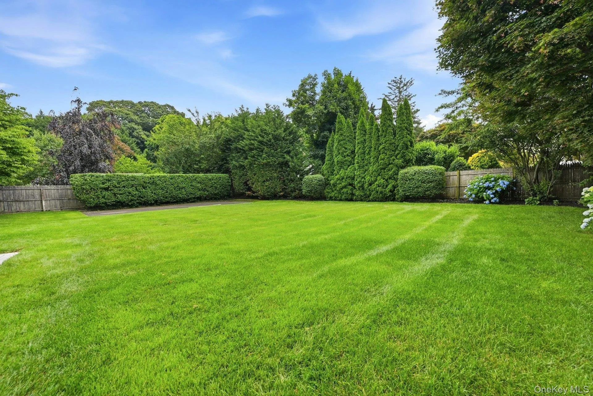 Privacy plantings Privacy plantings