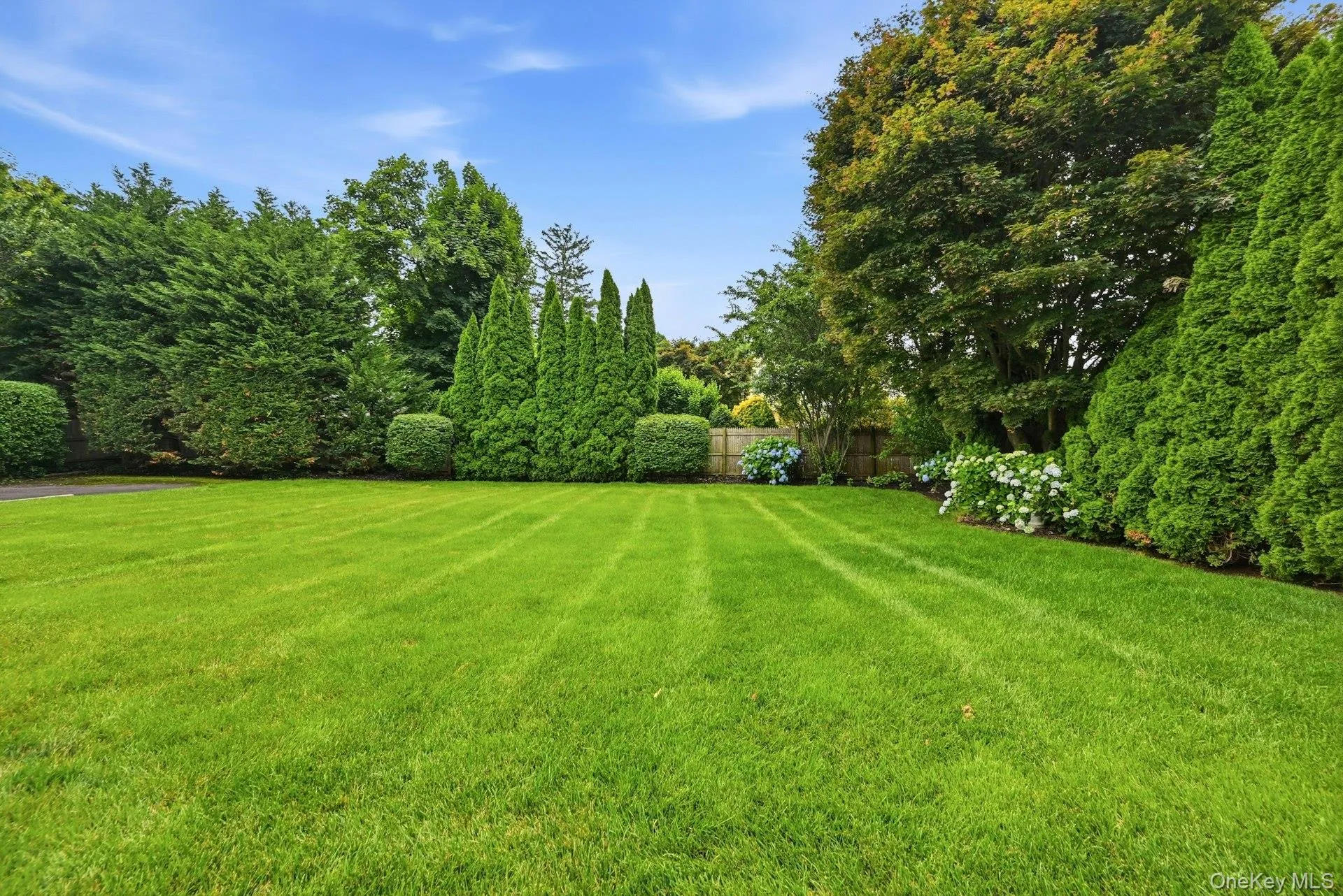 Lush lawn Lush lawn