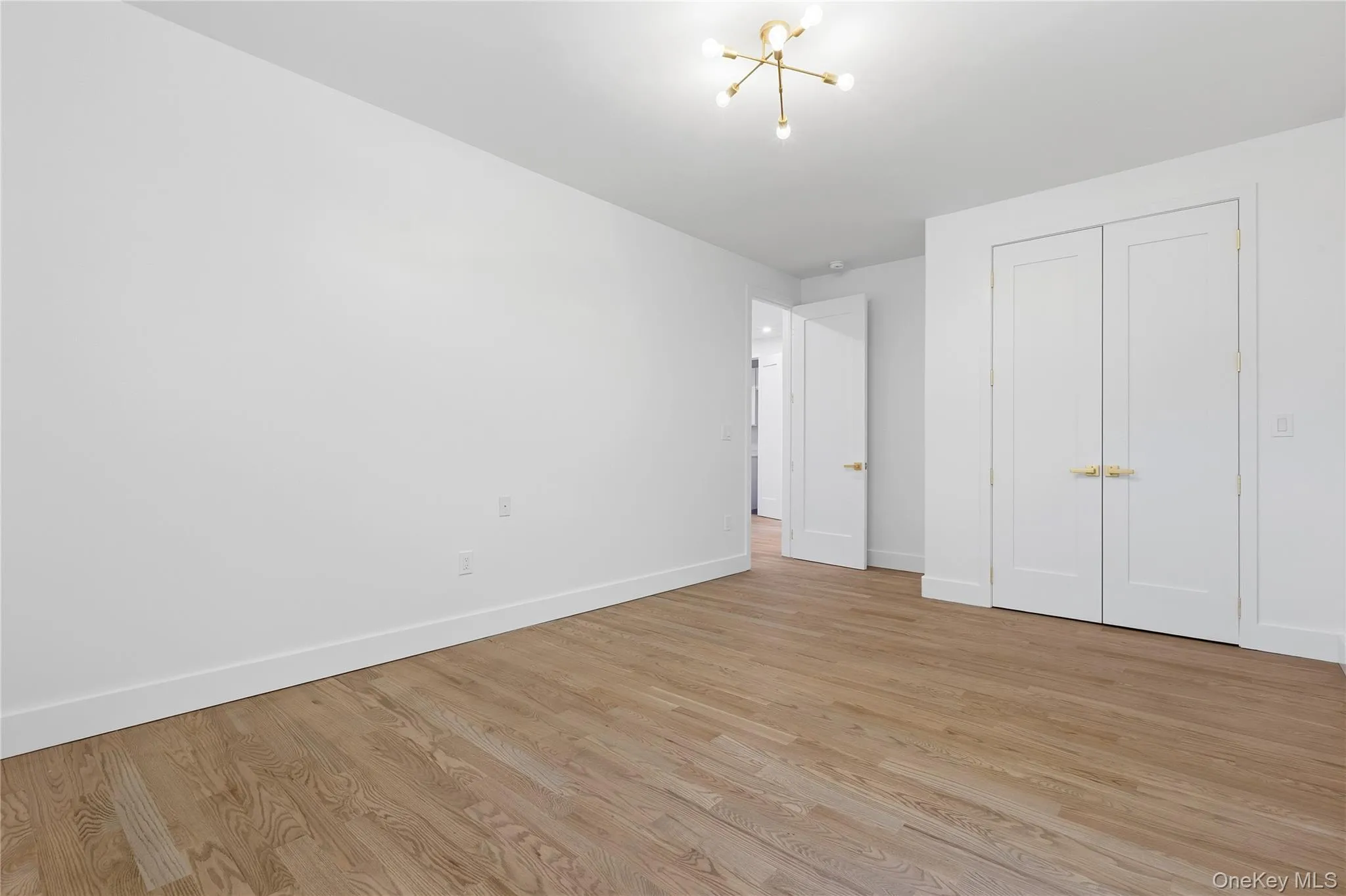 Spacious room featuring wood-finish flooring, white baseboards, and a modern ceiling light fixture Spacious room featuring wood-finish flooring, white baseboards, and a modern ceiling light fixture