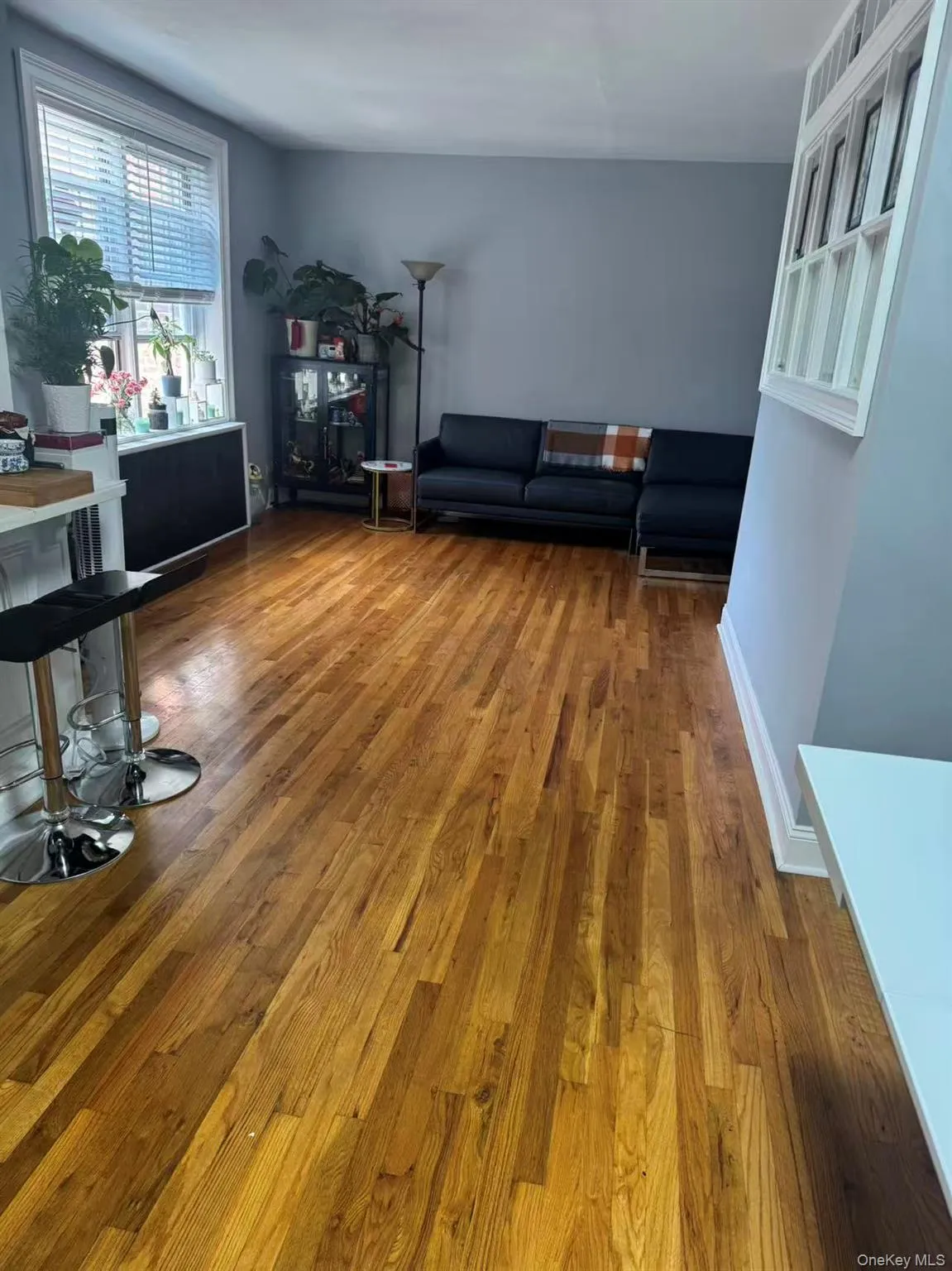 63-93 Woodhaven Blvd, New York, NY, 1 Bedroom Bedrooms, 3 Rooms Rooms,1 BathroomBathrooms,Residential,For Rent,Woodhaven Blvd,0,KEY1018106 63-93 Woodhaven Blvd, New York, NY, 1 Bedroom Bedrooms, 3 Rooms Rooms,1 BathroomBathrooms,Residential,For Rent,Woodhaven Blvd,0,KEY1018106