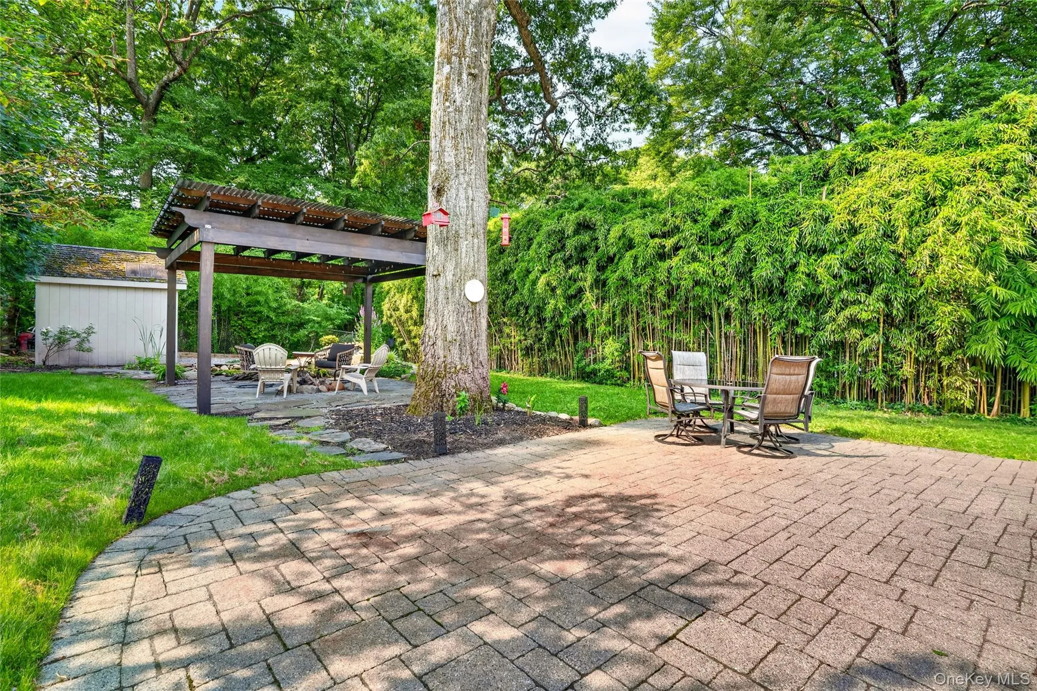 Tranquil backyard with koi pond & pergola Tranquil backyard with koi pond & pergola