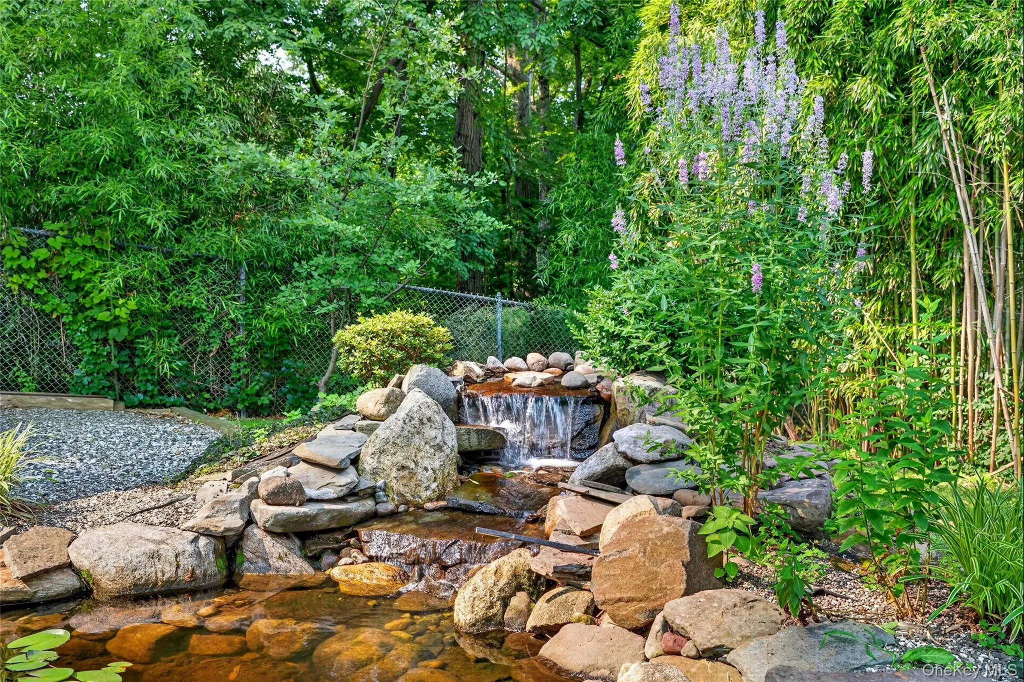 Koi pond Koi pond