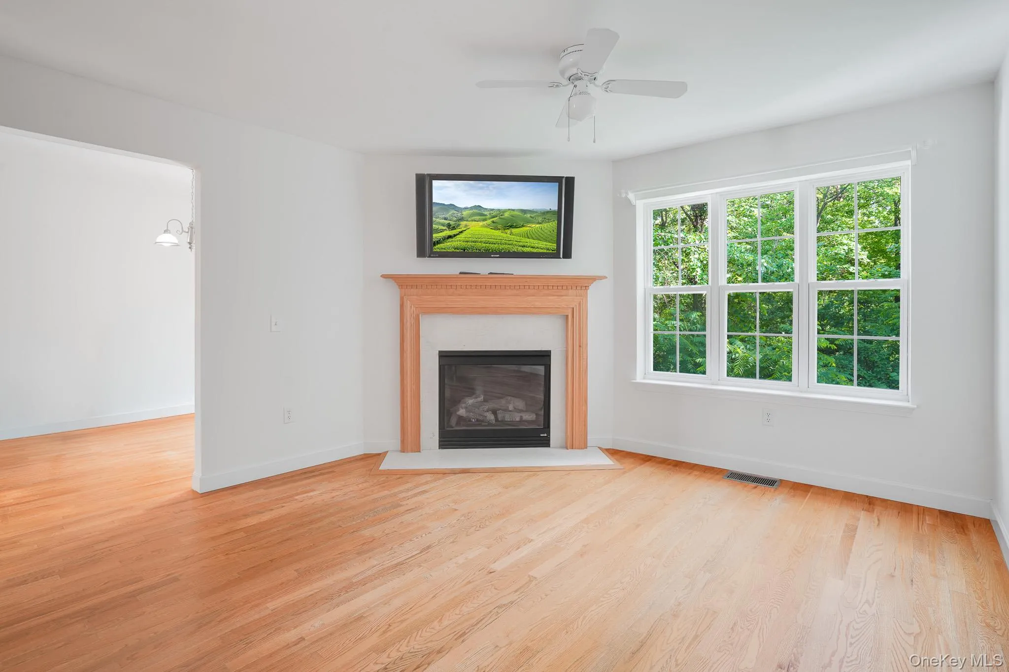 Gas fireplace Gas fireplace