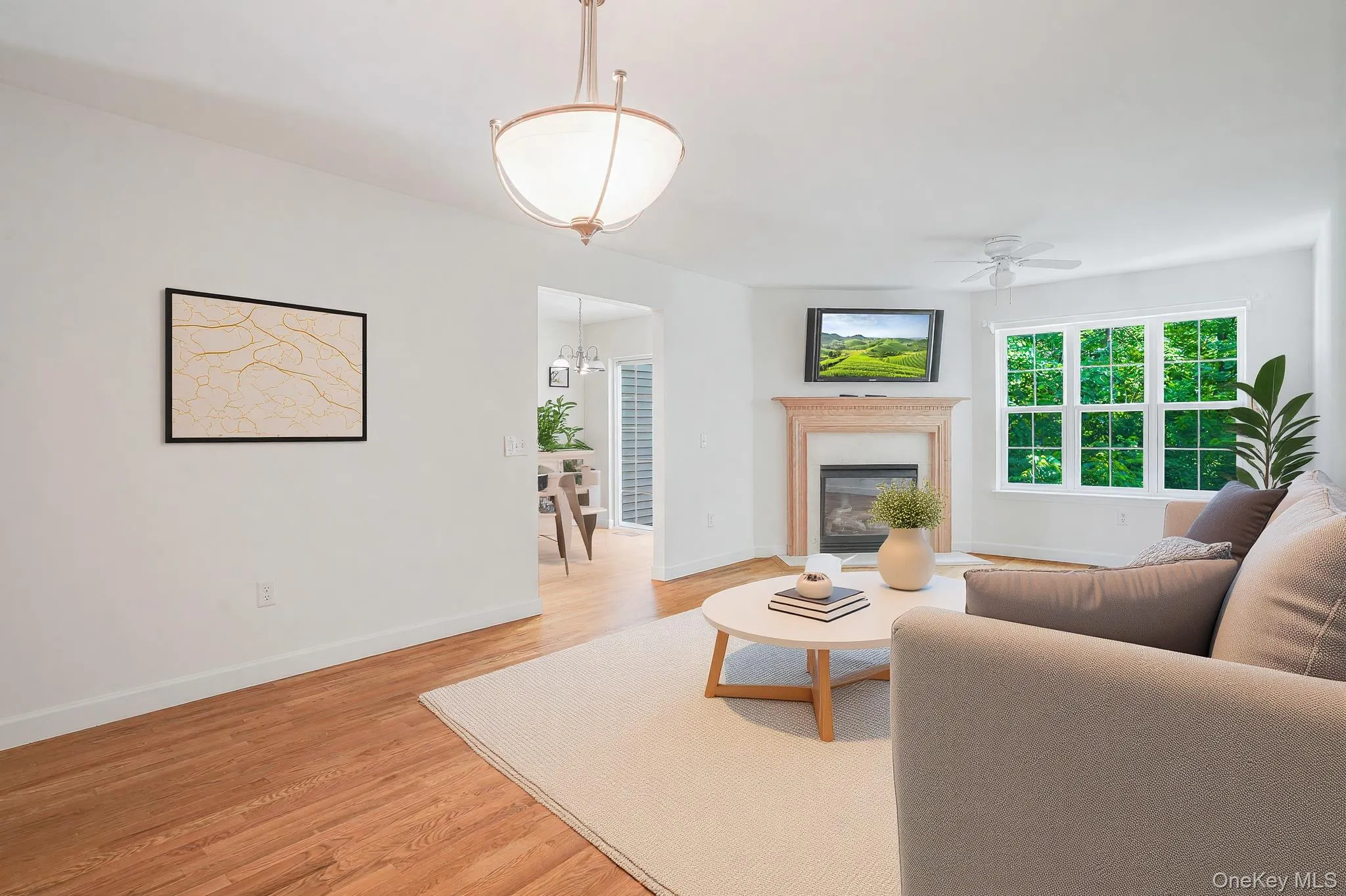 Living room (virtually staged) Living room (virtually staged)