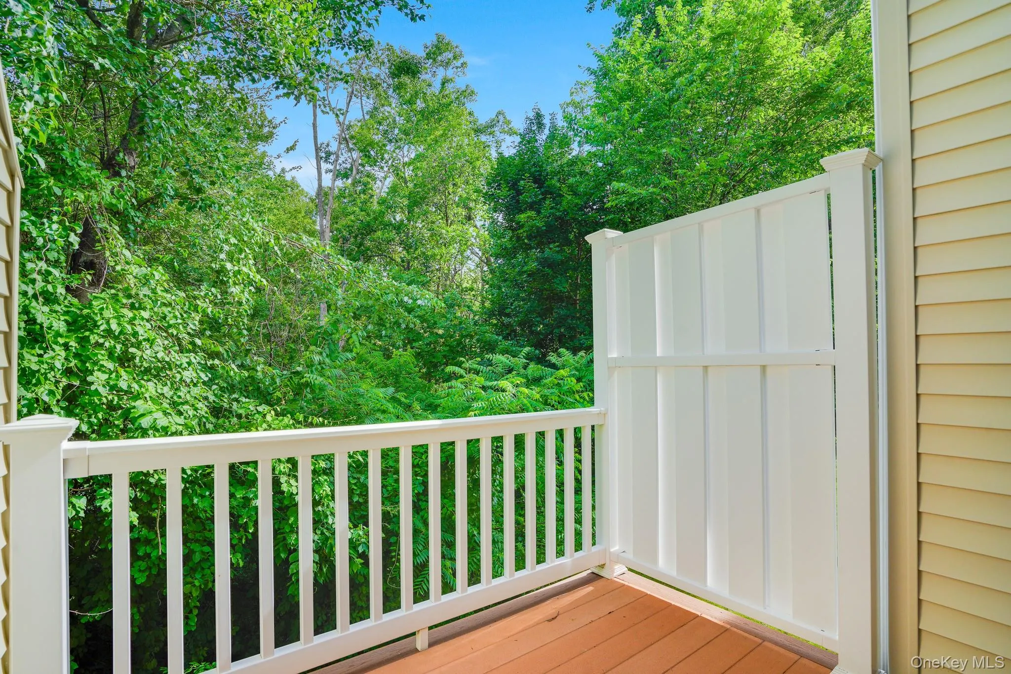 Rear deck overlooking private woods Rear deck overlooking private woods