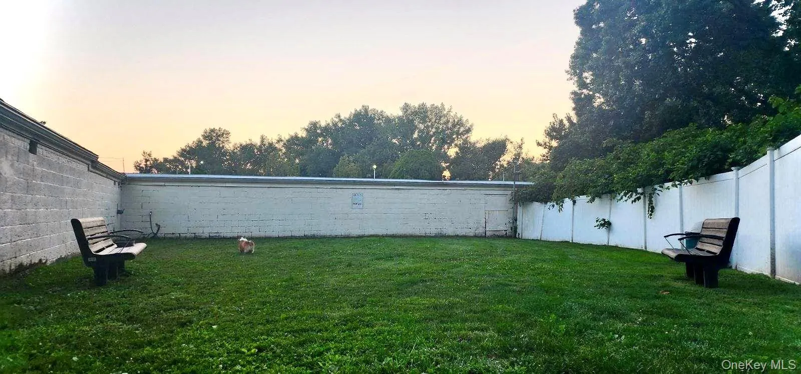 6 Mill Drive, North Hempstead, NY, 1 Bedroom Bedrooms, 4 Rooms Rooms,1 BathroomBathrooms,Residential,For Rent,Mill,0,KEY1018162 6 Mill Drive, North Hempstead, NY, 1 Bedroom Bedrooms, 4 Rooms Rooms,1 BathroomBathrooms,Residential,For Rent,Mill,0,KEY1018162