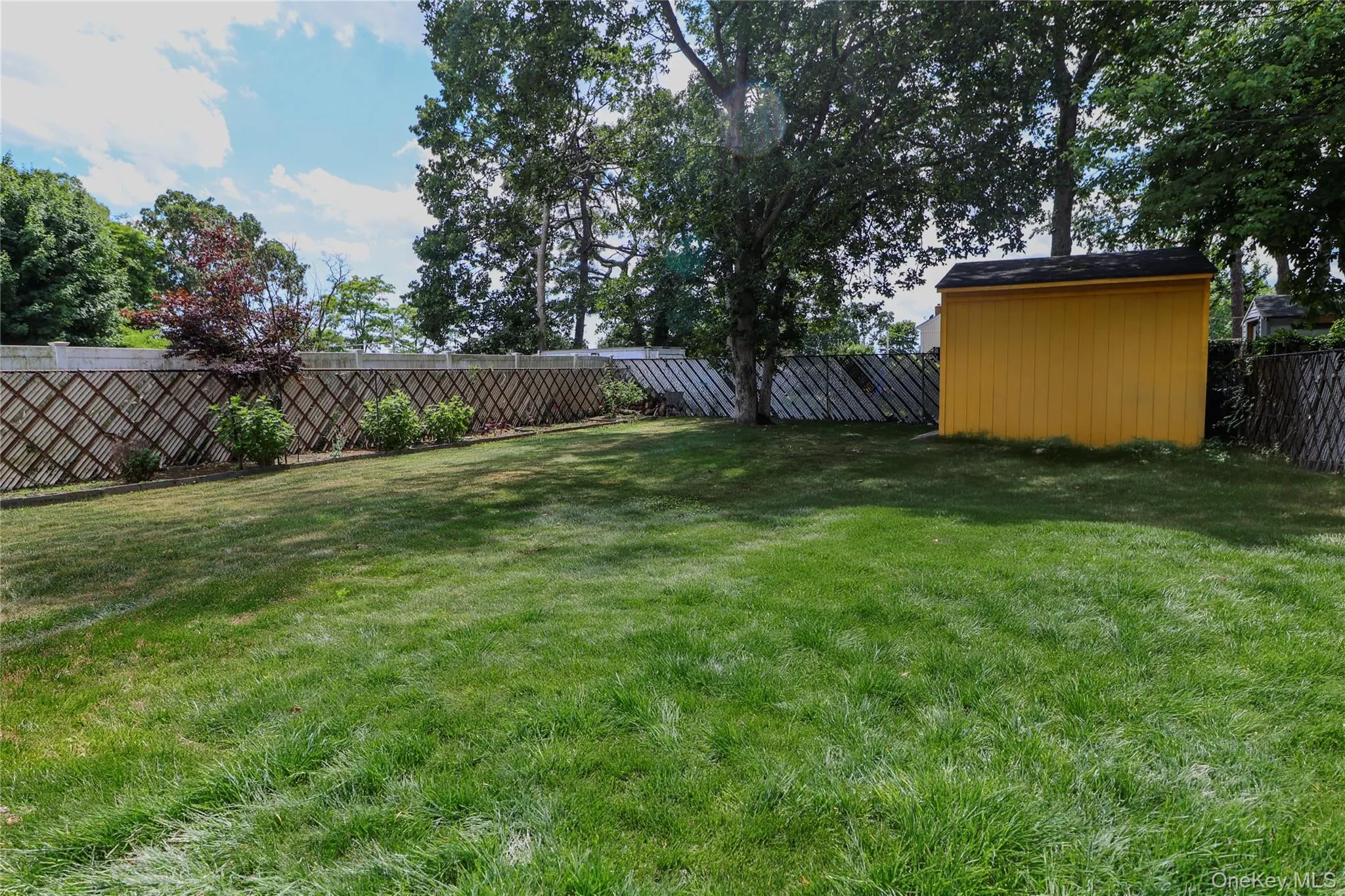 Expansive green lawn featuring a lattice fence, mature trees, and a bright yellow storage shed with a black roof Expansive green lawn featuring a lattice fence, mature trees, and a bright yellow storage shed with a black roof