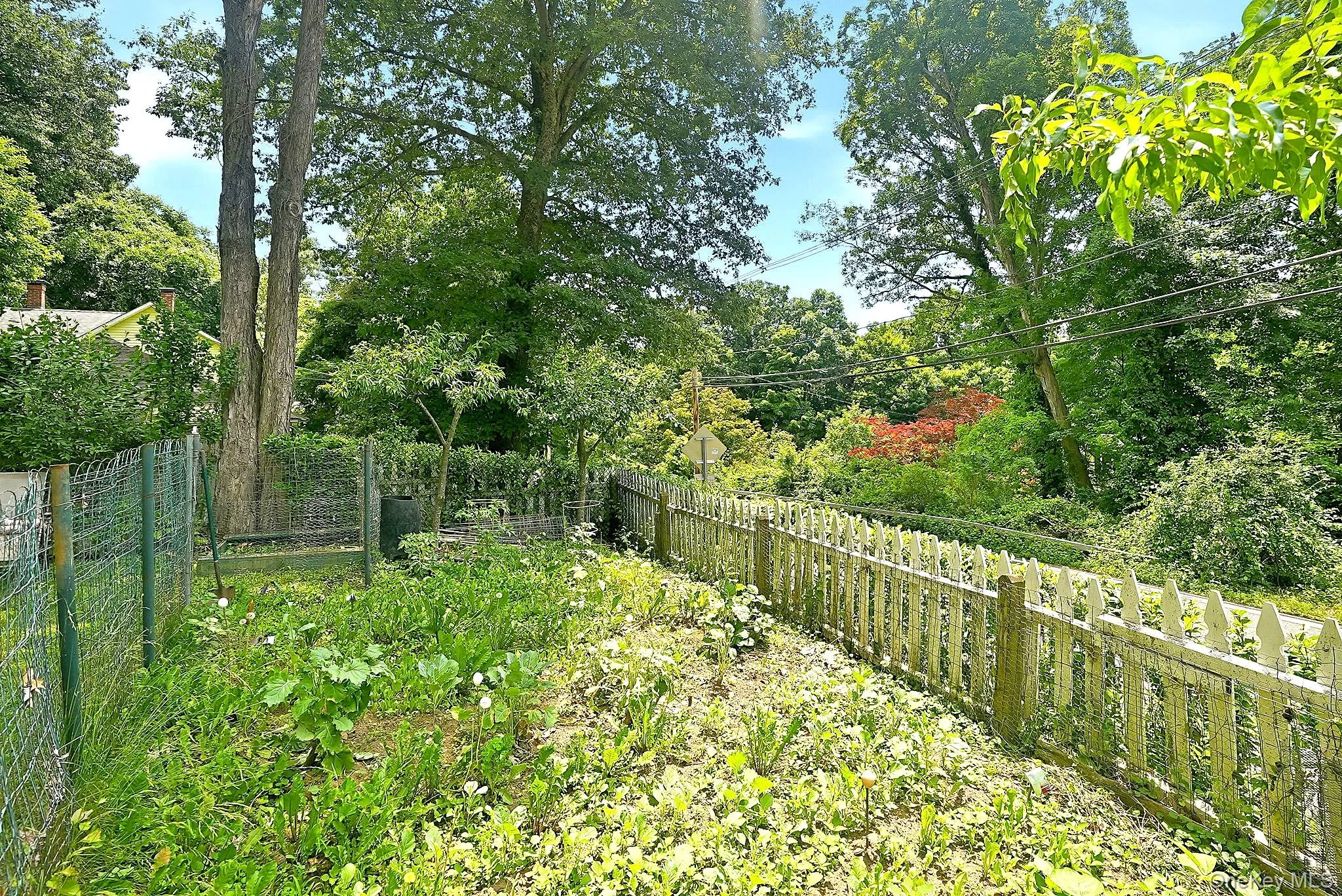 Garden Garden