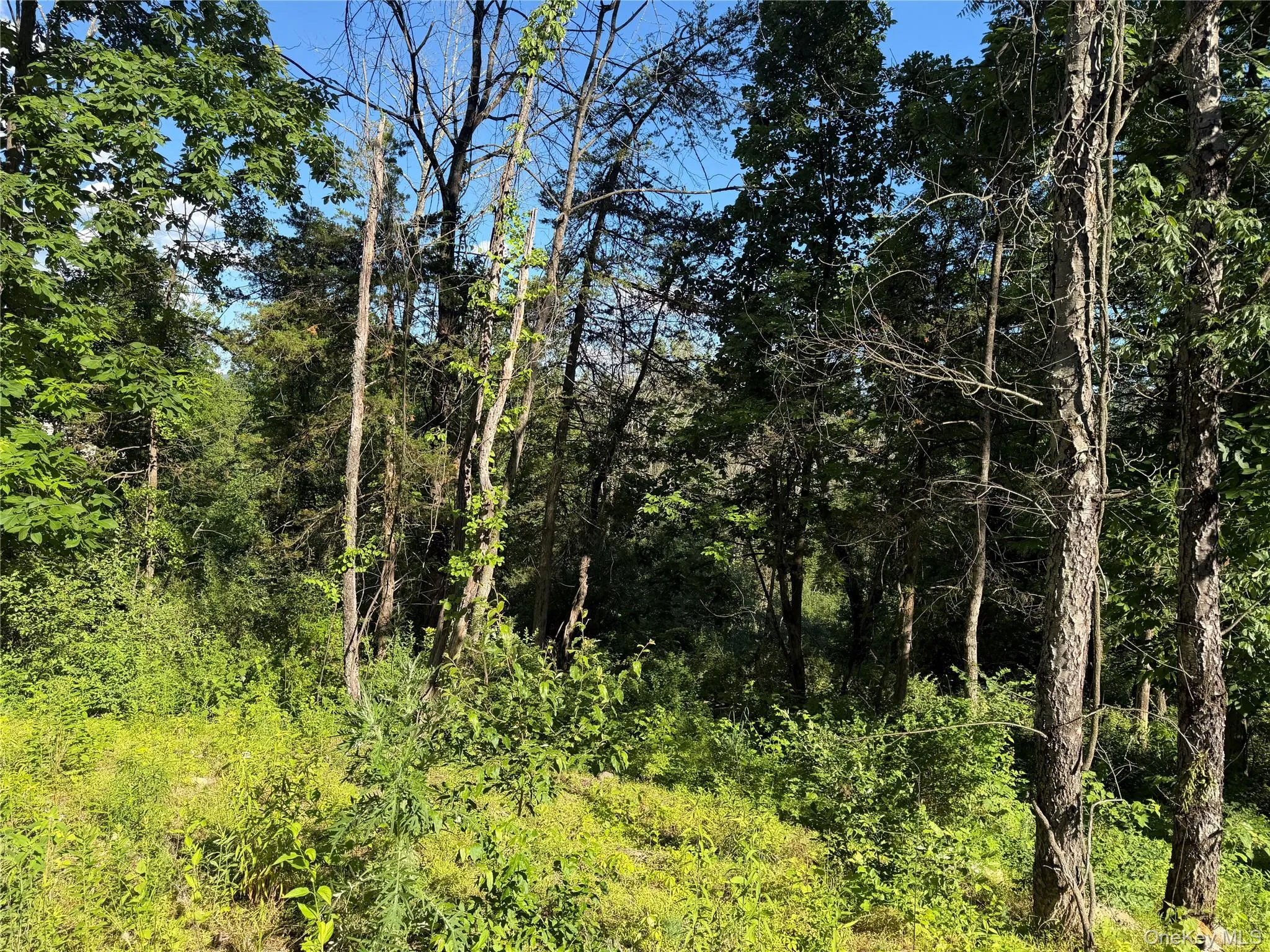 5 Walnut Hill Road, Warwick (town), NY, 4 Bedrooms Bedrooms, 12 Rooms Rooms,5 BathroomsBathrooms,Residential,For Rent,Walnut Hill,0,1018205 5 Walnut Hill Road, Warwick (town), NY, 4 Bedrooms Bedrooms, 12 Rooms Rooms,5 BathroomsBathrooms,Residential,For Rent,Walnut Hill,0,1018205