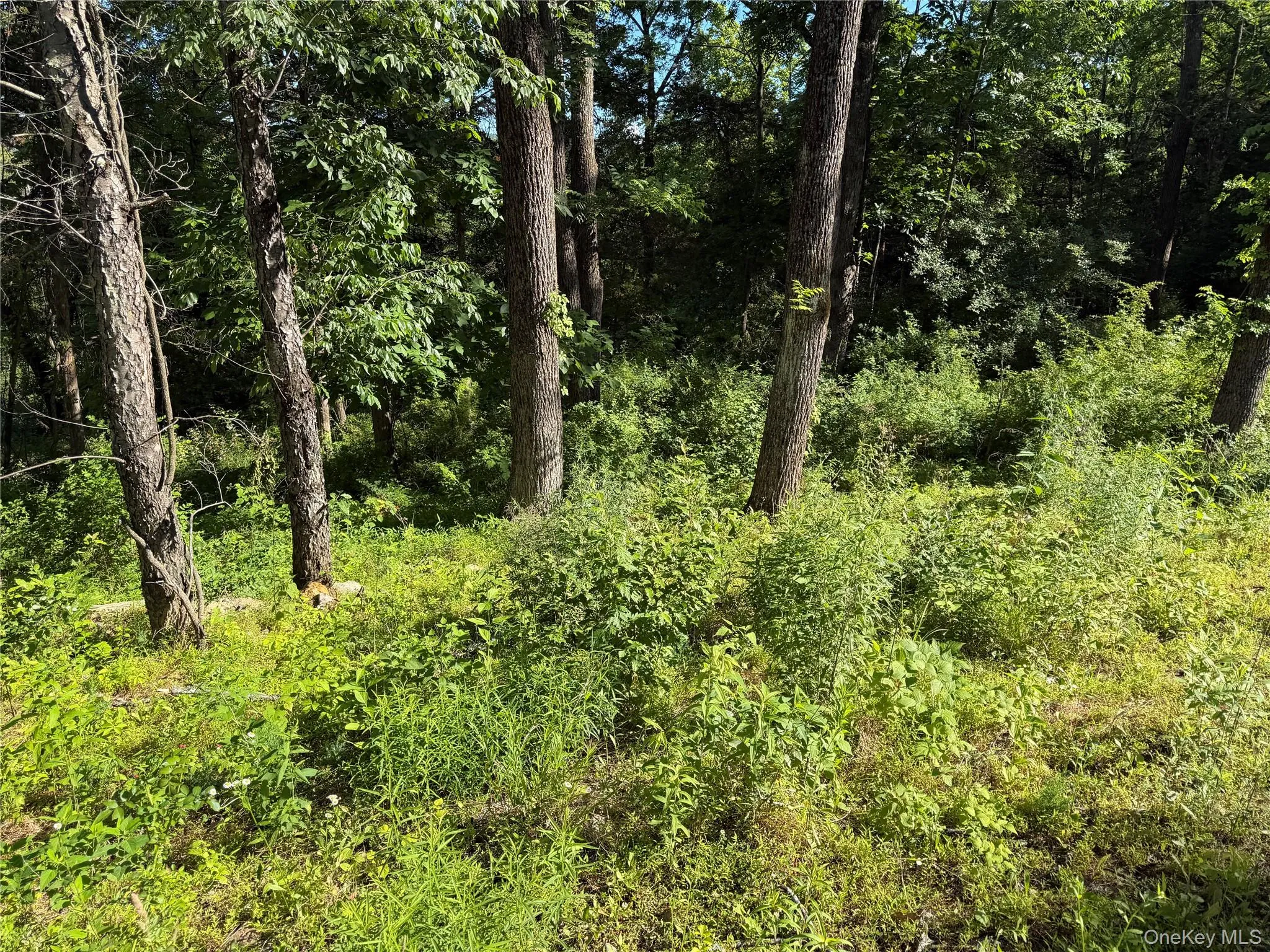 5 Walnut Hill Road, Warwick (town), NY, 4 Bedrooms Bedrooms, 12 Rooms Rooms,5 BathroomsBathrooms,Residential,For Rent,Walnut Hill,0,1018205 5 Walnut Hill Road, Warwick (town), NY, 4 Bedrooms Bedrooms, 12 Rooms Rooms,5 BathroomsBathrooms,Residential,For Rent,Walnut Hill,0,1018205