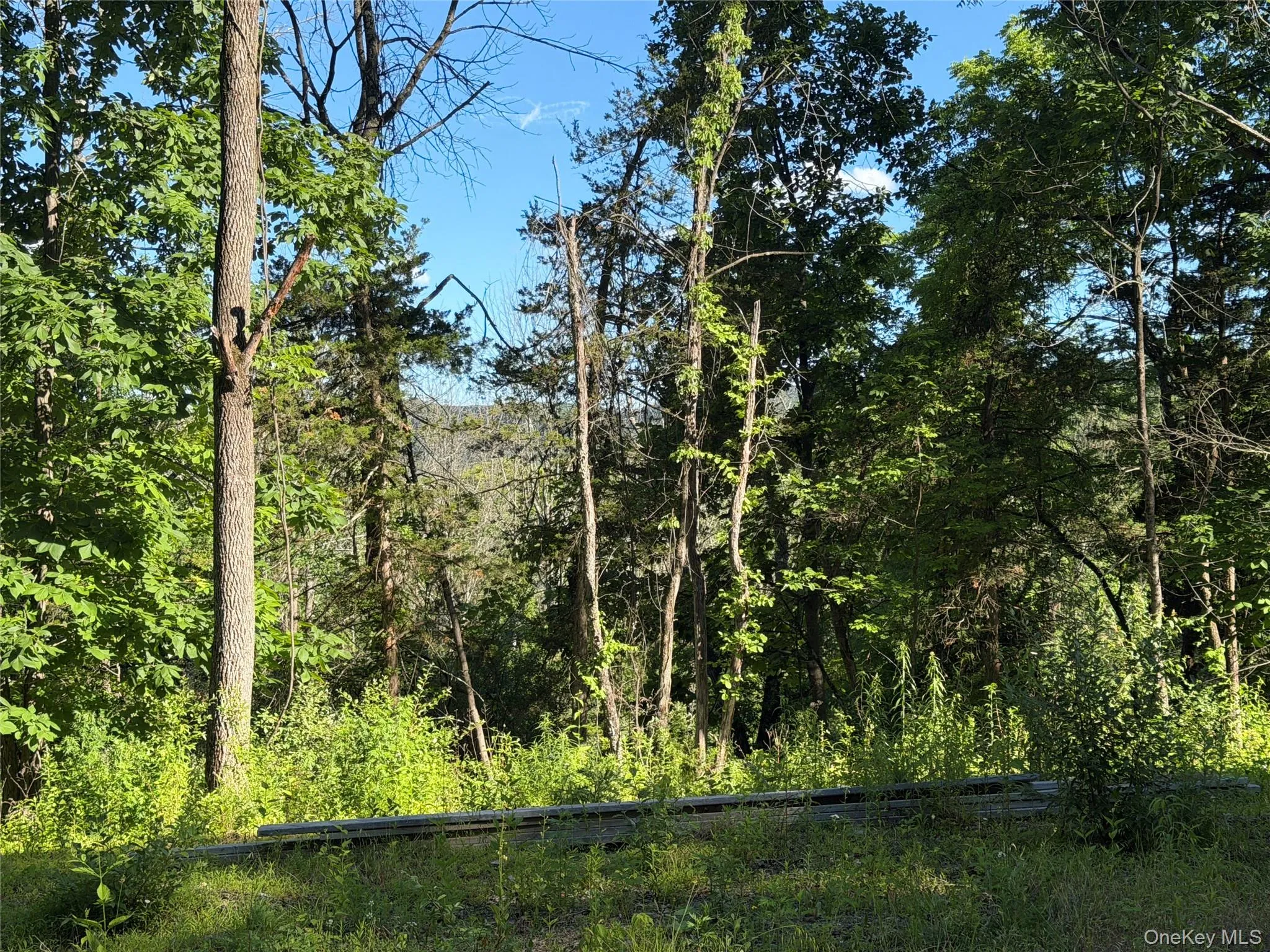 5 Walnut Hill Road, Warwick (town), NY, 4 Bedrooms Bedrooms, 12 Rooms Rooms,5 BathroomsBathrooms,Residential,For Rent,Walnut Hill,0,1018205 5 Walnut Hill Road, Warwick (town), NY, 4 Bedrooms Bedrooms, 12 Rooms Rooms,5 BathroomsBathrooms,Residential,For Rent,Walnut Hill,0,1018205