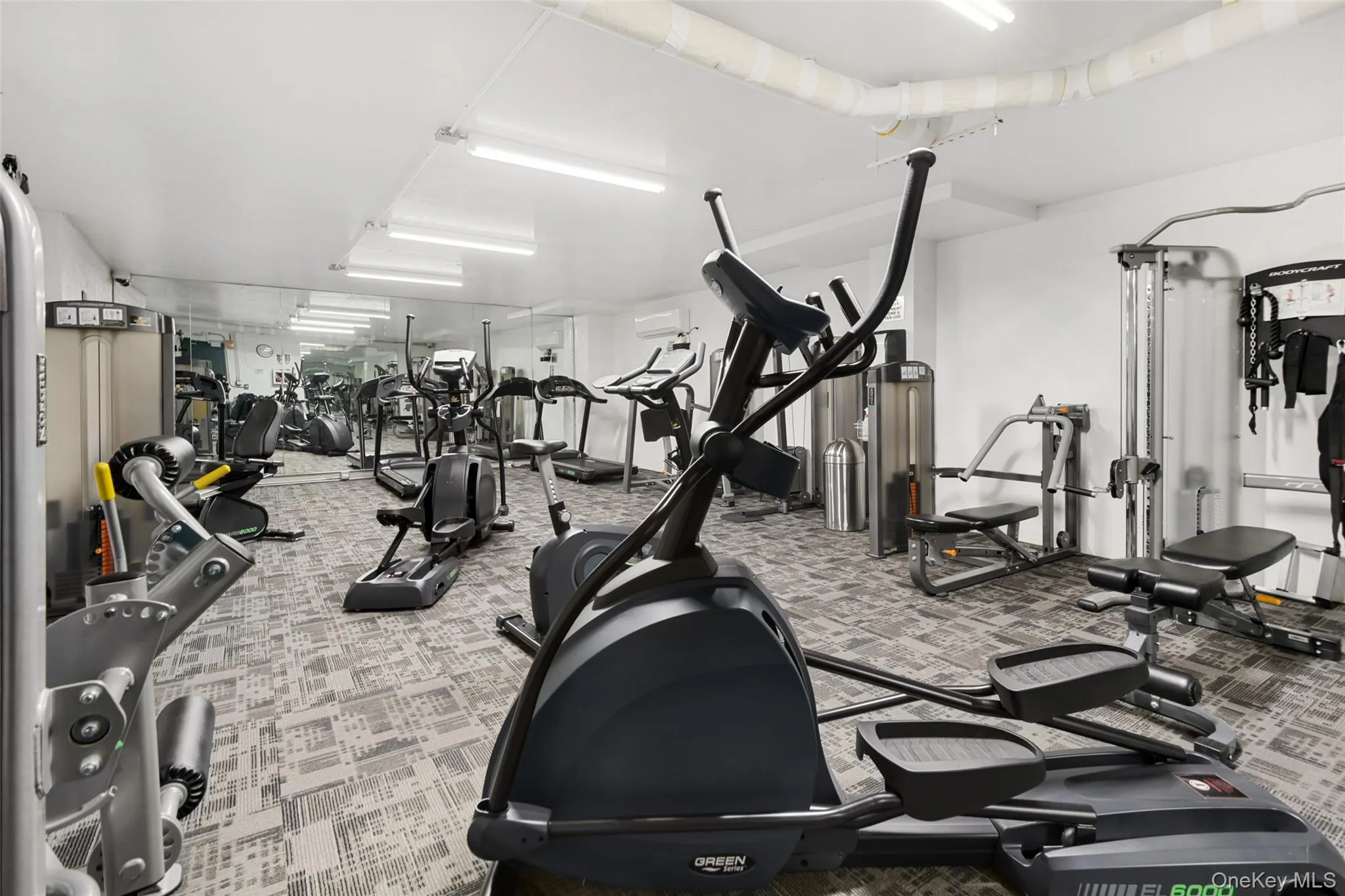 555 Kappock Street, New York, NY, 1 Bedroom Bedrooms, 3 Rooms Rooms,1 BathroomBathrooms,Residential,For Rent,Kappock,0,KEY1018216 555 Kappock Street, New York, NY, 1 Bedroom Bedrooms, 3 Rooms Rooms,1 BathroomBathrooms,Residential,For Rent,Kappock,0,KEY1018216