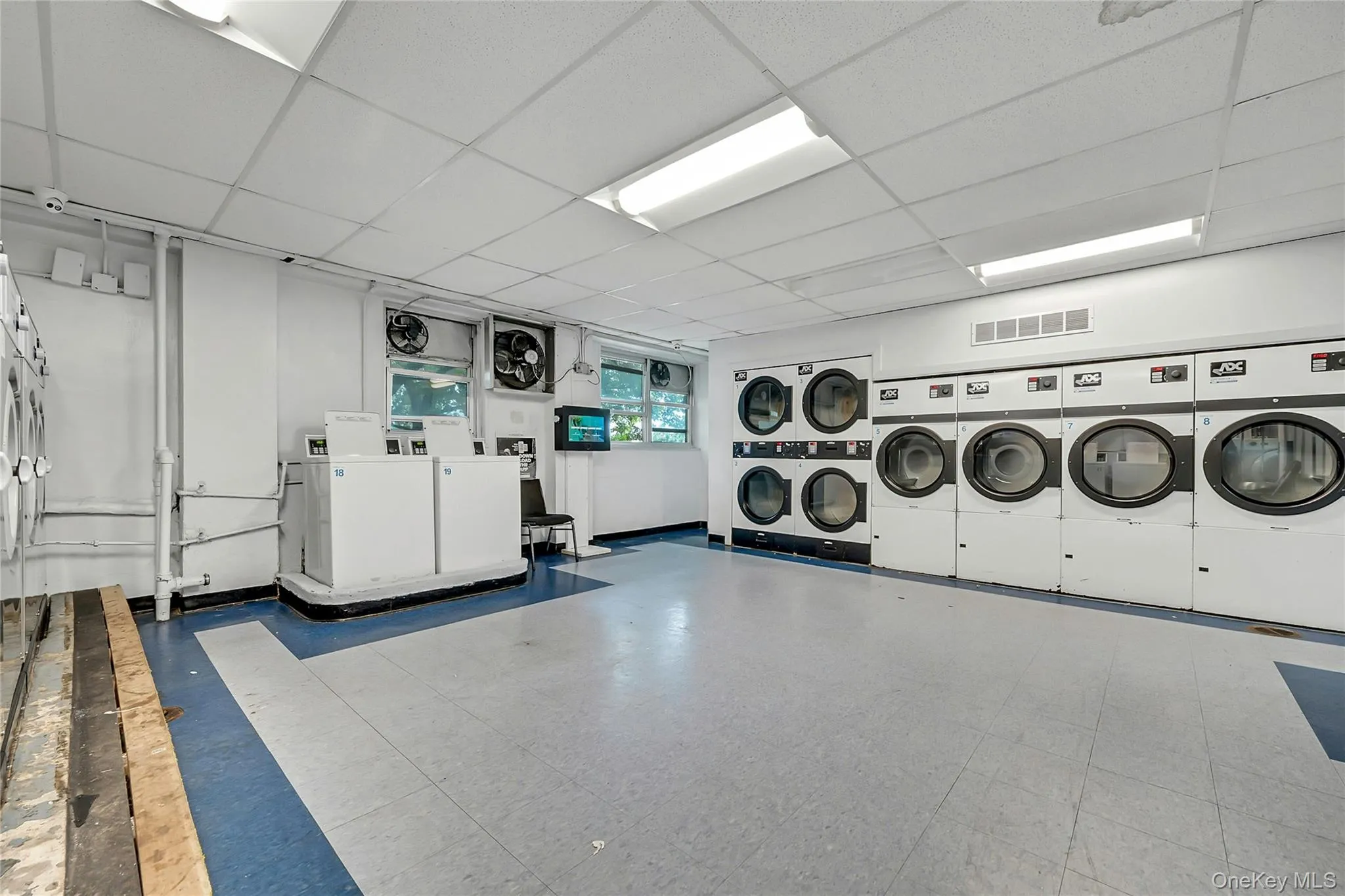 555 Kappock Street, New York, NY, 1 Bedroom Bedrooms, 3 Rooms Rooms,1 BathroomBathrooms,Residential,For Rent,Kappock,0,KEY1018216 555 Kappock Street, New York, NY, 1 Bedroom Bedrooms, 3 Rooms Rooms,1 BathroomBathrooms,Residential,For Rent,Kappock,0,KEY1018216