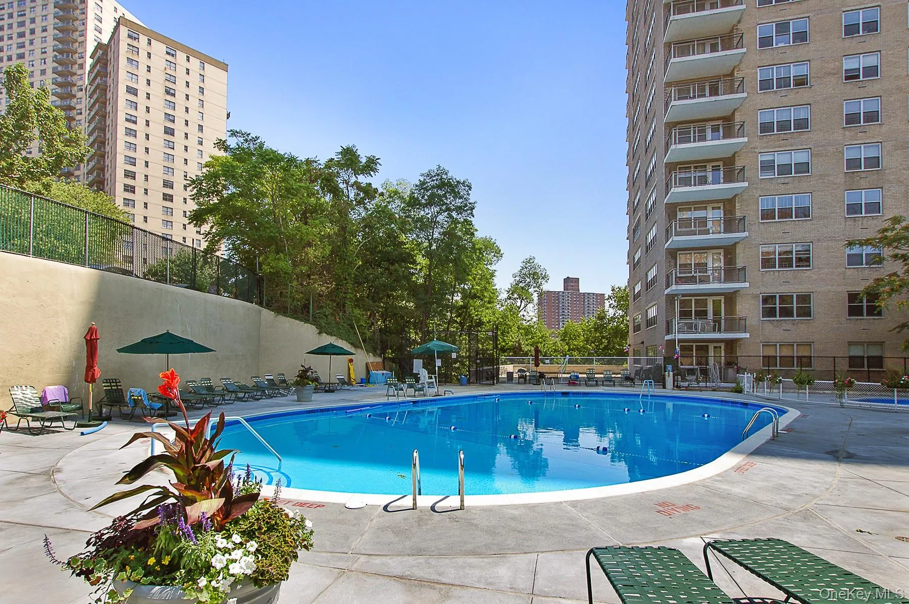 555 Kappock Street, New York, NY, 1 Bedroom Bedrooms, 3 Rooms Rooms,1 BathroomBathrooms,Residential,For Rent,Kappock,0,KEY1018216 555 Kappock Street, New York, NY, 1 Bedroom Bedrooms, 3 Rooms Rooms,1 BathroomBathrooms,Residential,For Rent,Kappock,0,KEY1018216