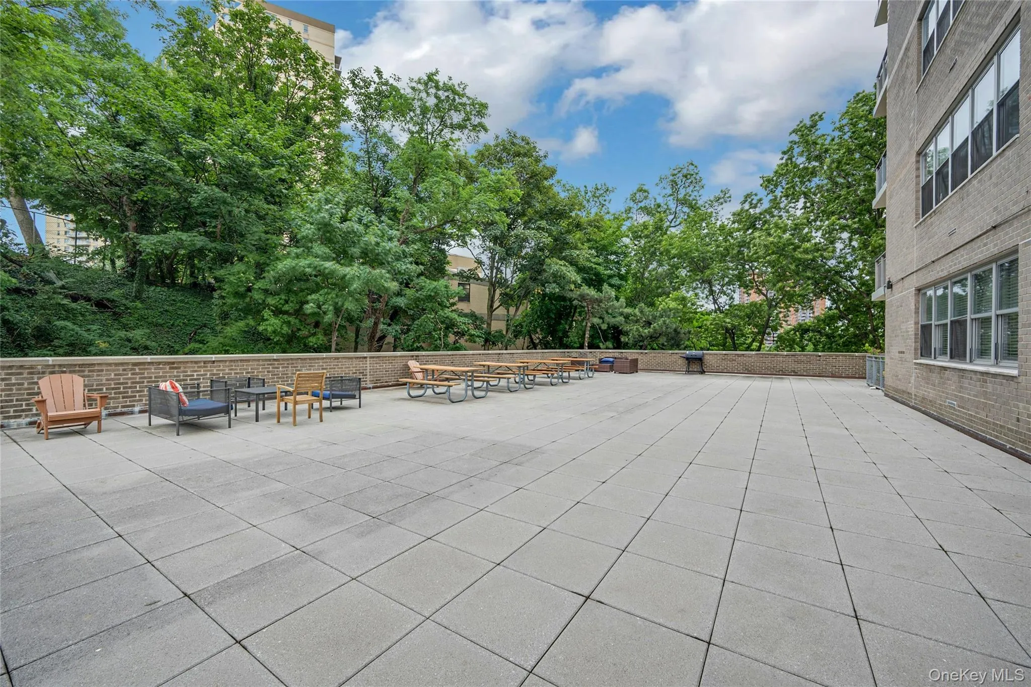 555 Kappock Street, New York, NY, 1 Bedroom Bedrooms, 3 Rooms Rooms,1 BathroomBathrooms,Residential,For Rent,Kappock,0,KEY1018216 555 Kappock Street, New York, NY, 1 Bedroom Bedrooms, 3 Rooms Rooms,1 BathroomBathrooms,Residential,For Rent,Kappock,0,KEY1018216