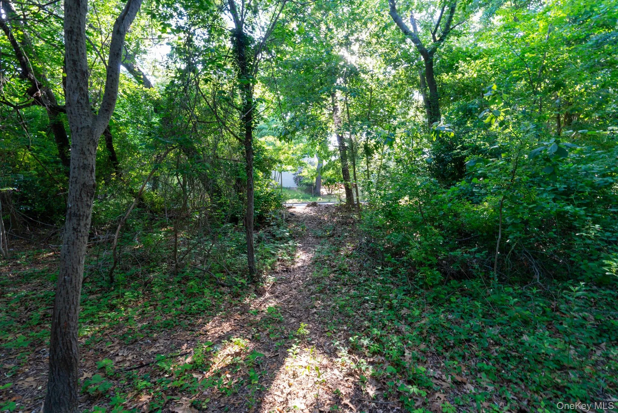 357 Smithtown Boulevard, Smithtown, NY, ,Land,For Rent,Smithtown,0,1018235 357 Smithtown Boulevard, Smithtown, NY, ,Land,For Rent,Smithtown,0,1018235