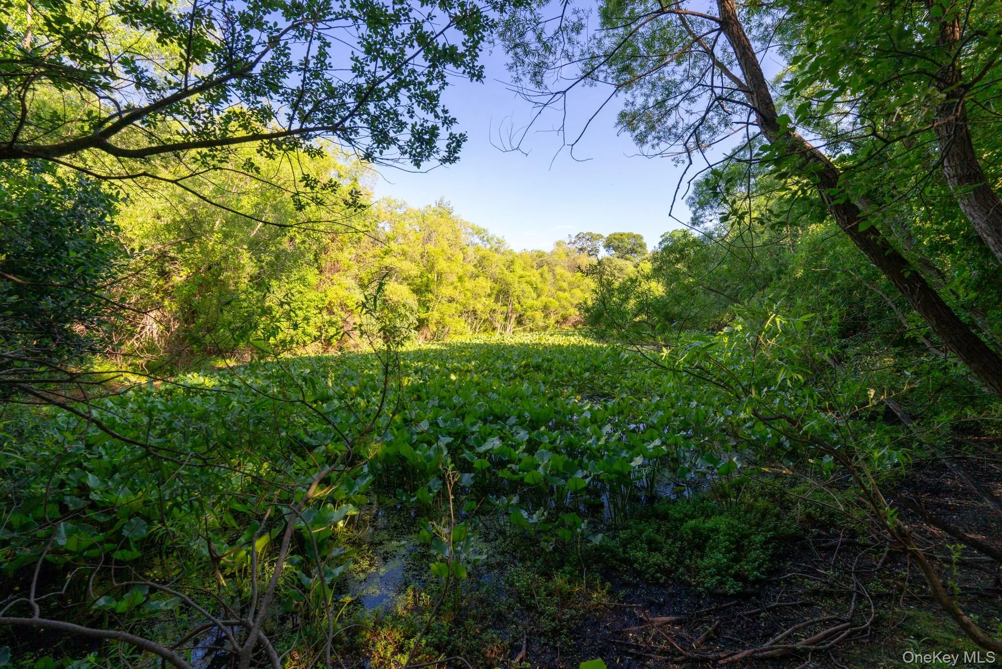 357 Smithtown Boulevard, Smithtown, NY, ,Land,For Rent,Smithtown,0,1018235 357 Smithtown Boulevard, Smithtown, NY, ,Land,For Rent,Smithtown,0,1018235