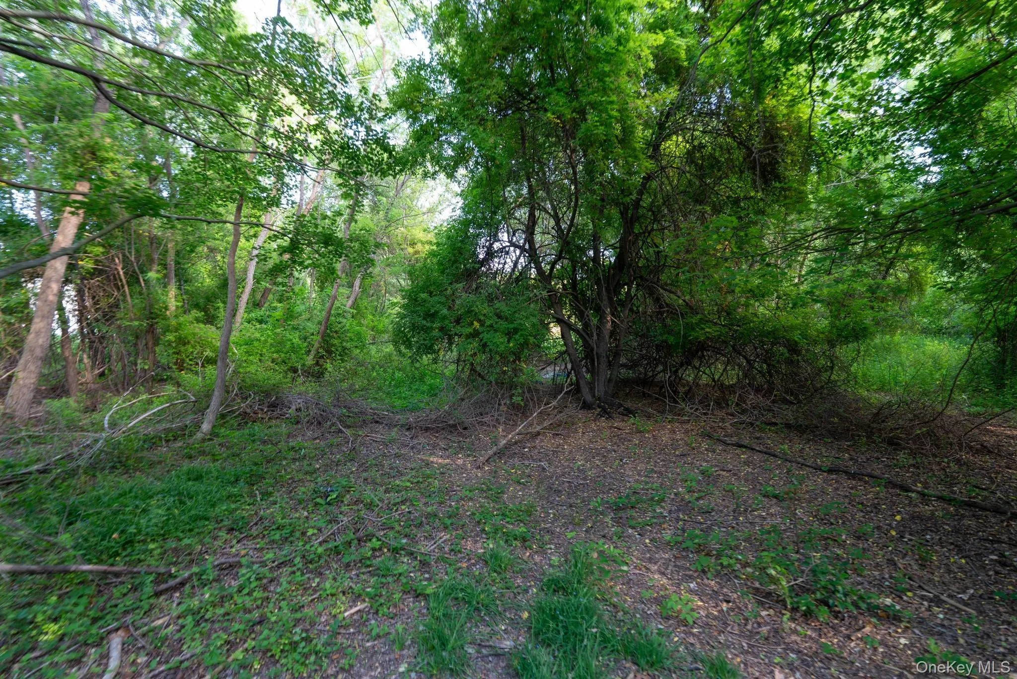357 Smithtown Boulevard, Smithtown, NY, ,Land,For Rent,Smithtown,0,1018235 357 Smithtown Boulevard, Smithtown, NY, ,Land,For Rent,Smithtown,0,1018235