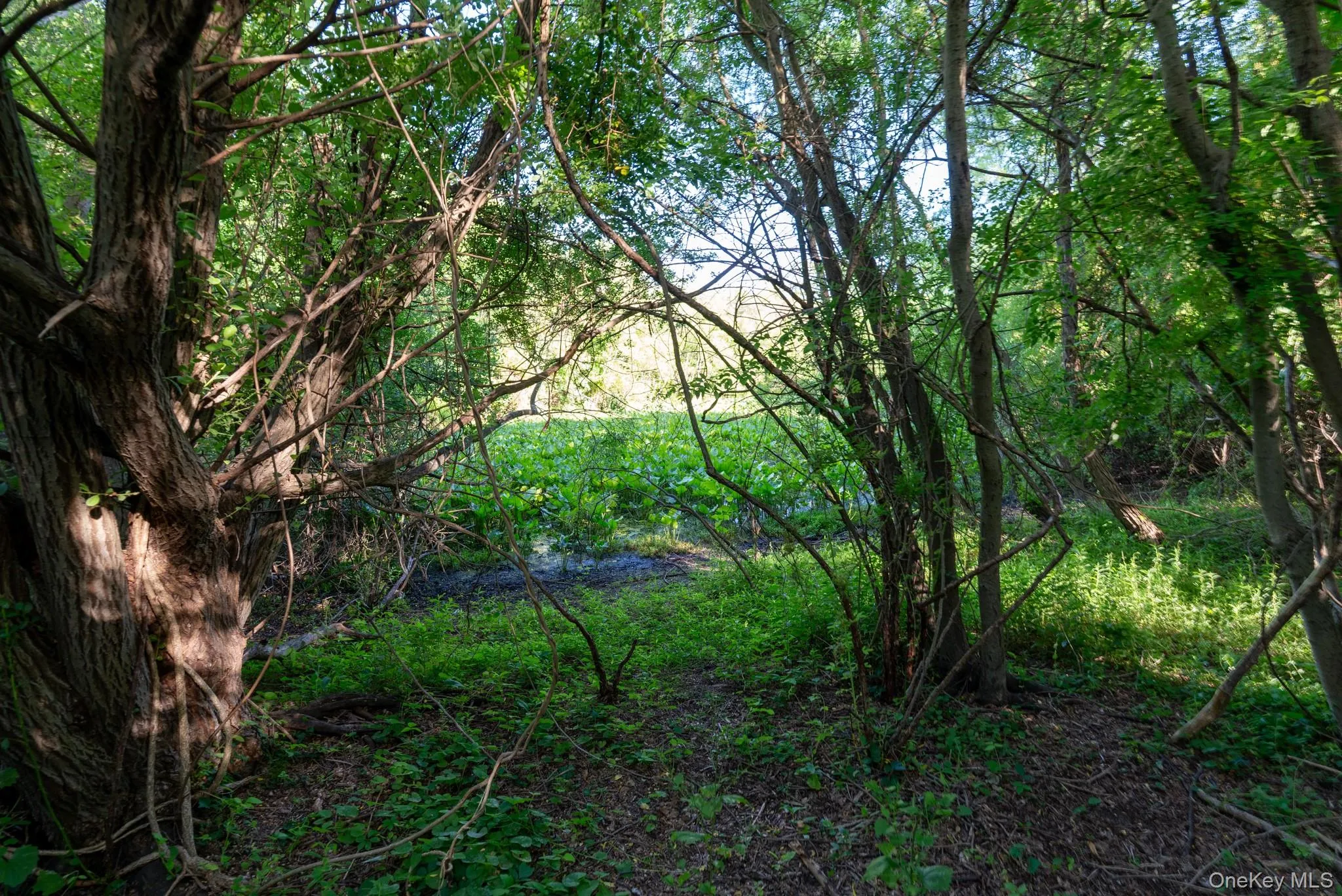 357 Smithtown Boulevard, Smithtown, NY, ,Land,For Rent,Smithtown,0,1018235 357 Smithtown Boulevard, Smithtown, NY, ,Land,For Rent,Smithtown,0,1018235