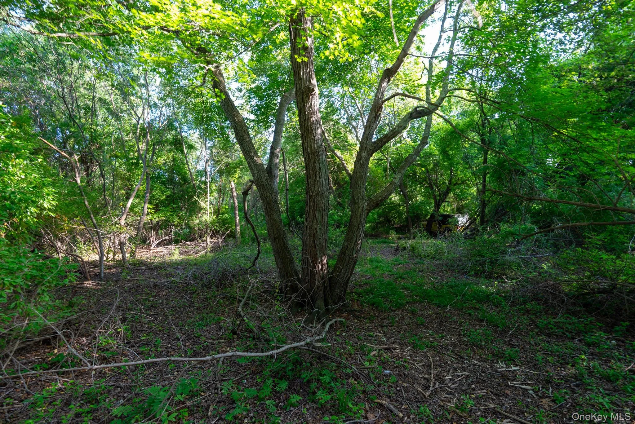 357 Smithtown Boulevard, Smithtown, NY, ,Land,For Rent,Smithtown,0,1018235 357 Smithtown Boulevard, Smithtown, NY, ,Land,For Rent,Smithtown,0,1018235