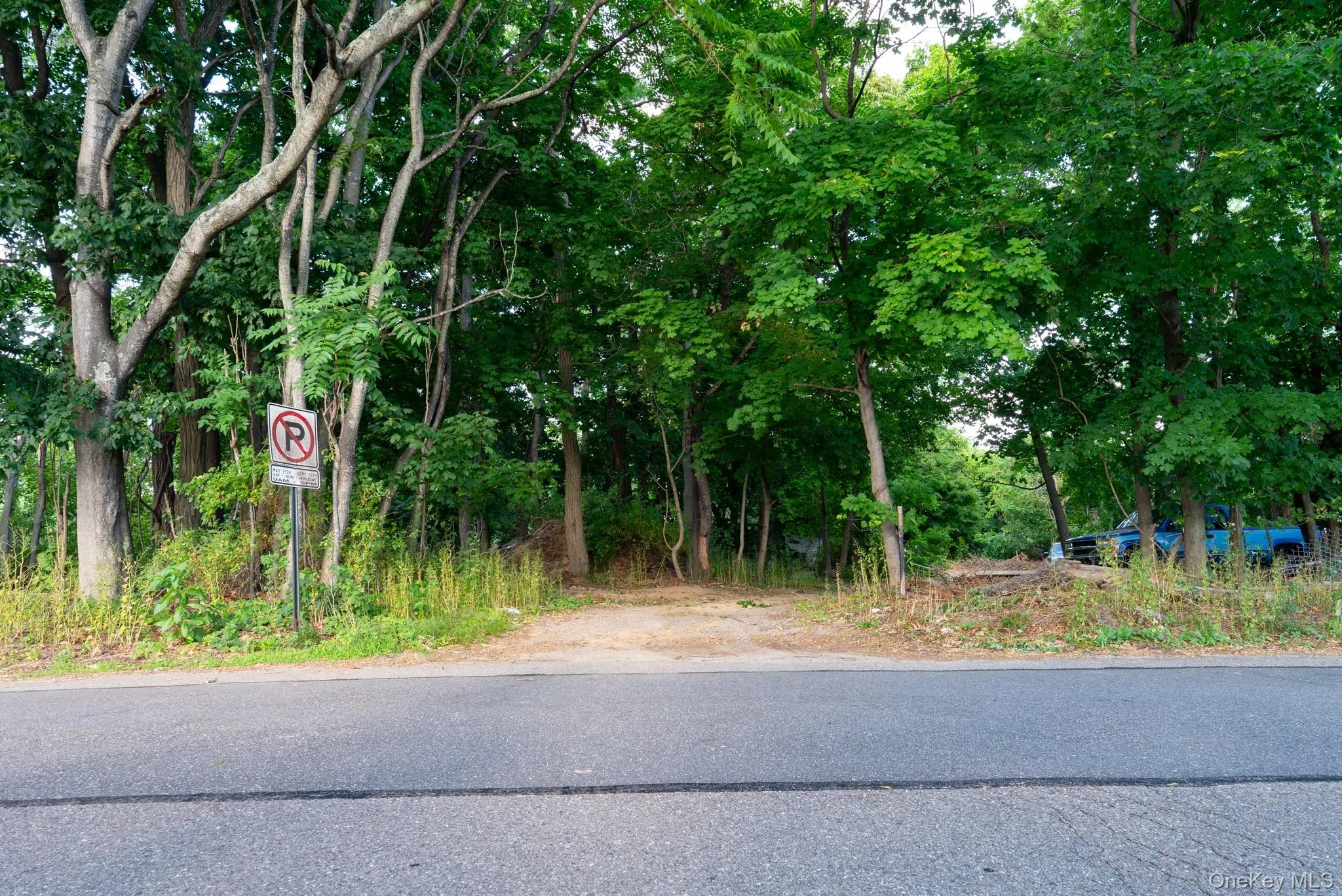 Corner Lot Spectacle Lake Drive & Smithtown Blvd Corner Lot Spectacle Lake Drive & Smithtown Blvd