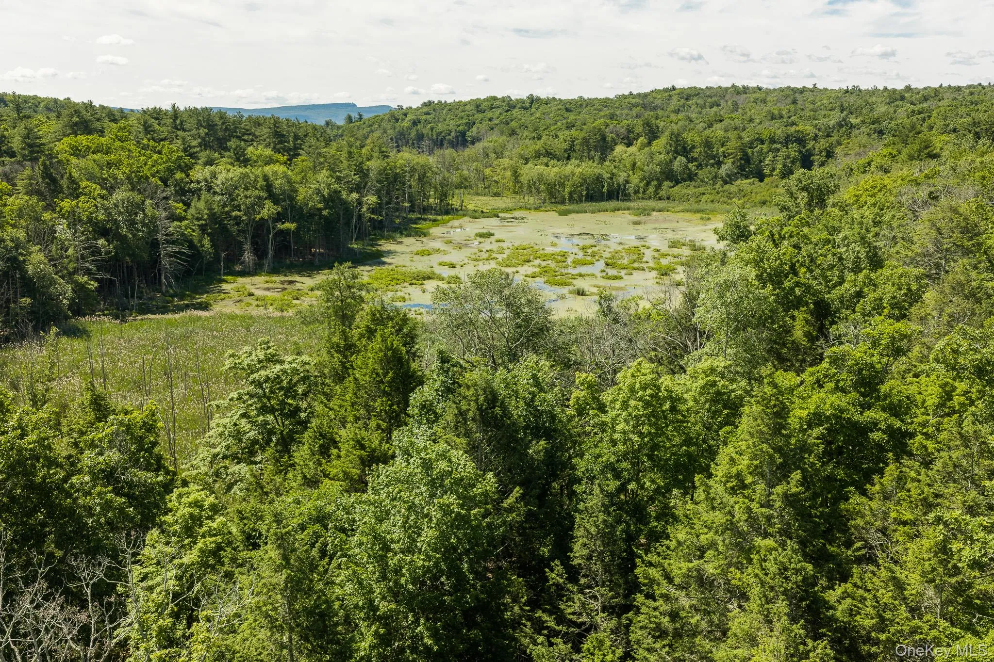 TBD Buck Road, Marbletown, NY, ,Land,For Rent,Buck,0,1018256 TBD Buck Road, Marbletown, NY, ,Land,For Rent,Buck,0,1018256