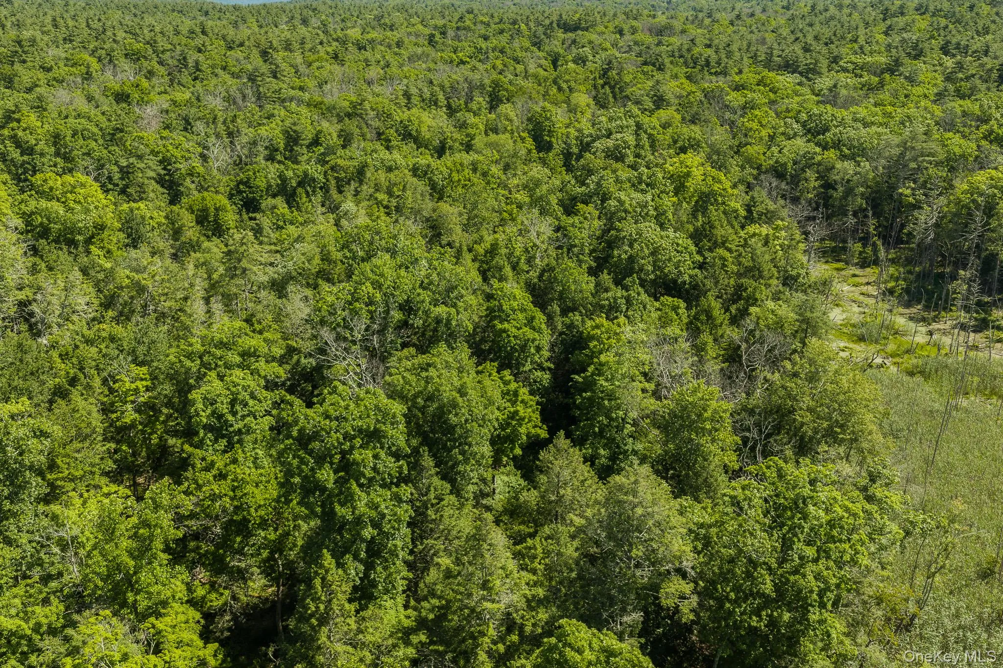 TBD Buck Road, Marbletown, NY, ,Land,For Rent,Buck,0,1018256 TBD Buck Road, Marbletown, NY, ,Land,For Rent,Buck,0,1018256
