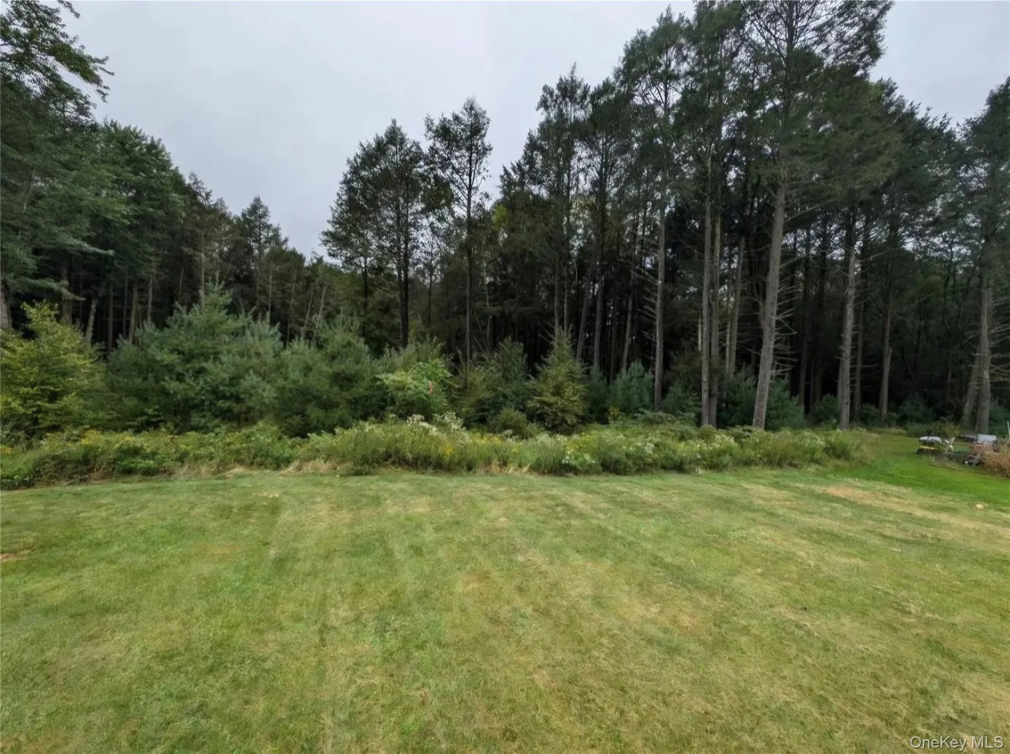 13 Gardenia Drive, Thompson, NY, 3 Bedrooms Bedrooms, 6 Rooms Rooms,2 BathroomsBathrooms,Residential,For Rent,Gardenia,0,1018292 13 Gardenia Drive, Thompson, NY, 3 Bedrooms Bedrooms, 6 Rooms Rooms,2 BathroomsBathrooms,Residential,For Rent,Gardenia,0,1018292
