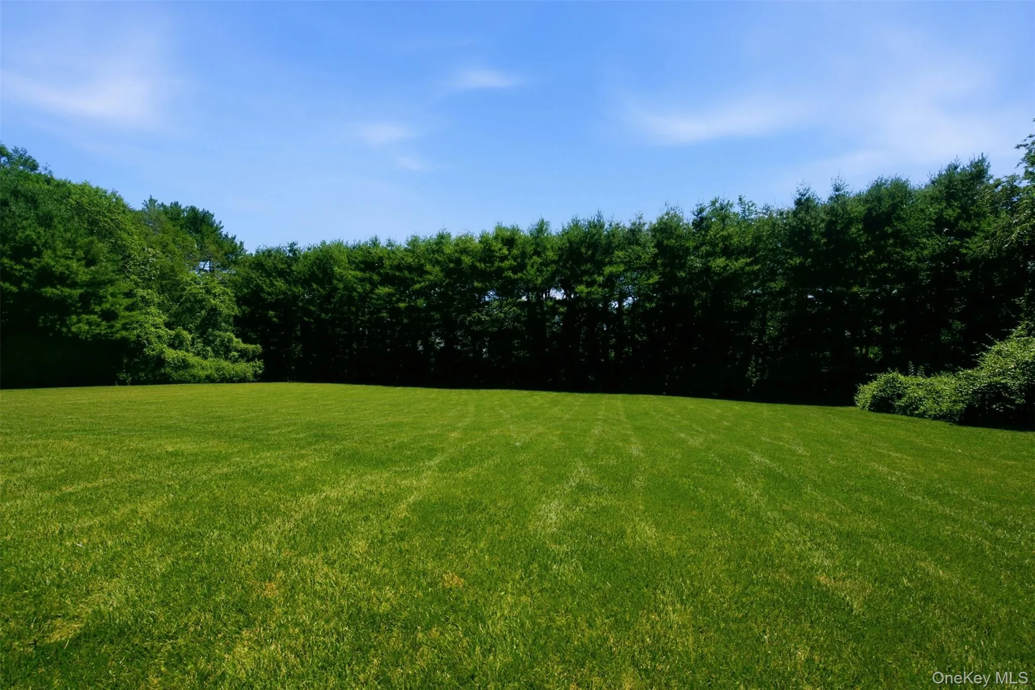 Expansive flat lawn surrounded by large trees for the ultimate privacy Expansive flat lawn surrounded by large trees for the ultimate privacy
