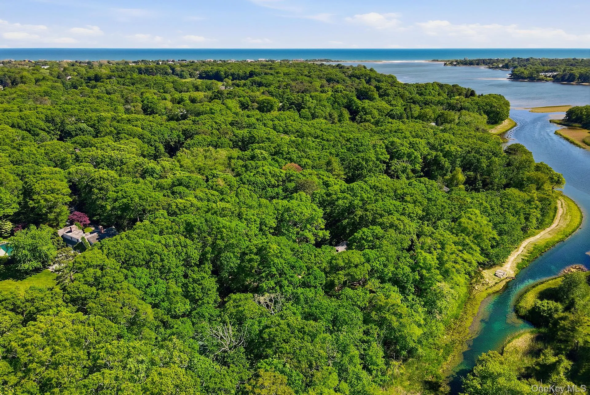 44 Georgica Close Road, East Hampton, NY, 6 Bedrooms Bedrooms, 12 Rooms Rooms,6 BathroomsBathrooms,Residential,For Rent,Georgica Close,0,1018353 44 Georgica Close Road, East Hampton, NY, 6 Bedrooms Bedrooms, 12 Rooms Rooms,6 BathroomsBathrooms,Residential,For Rent,Georgica Close,0,1018353