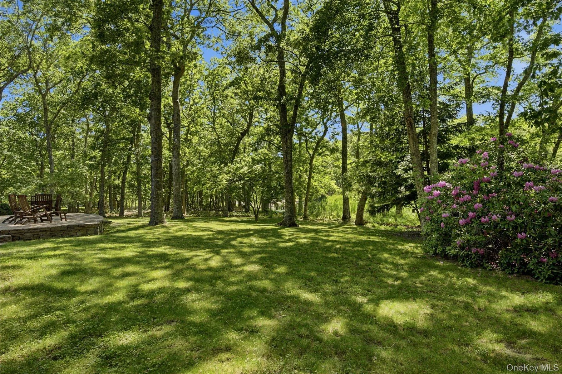 44 Georgica Close Road, East Hampton, NY, 6 Bedrooms Bedrooms, 12 Rooms Rooms,6 BathroomsBathrooms,Residential,For Rent,Georgica Close,0,1018353 44 Georgica Close Road, East Hampton, NY, 6 Bedrooms Bedrooms, 12 Rooms Rooms,6 BathroomsBathrooms,Residential,For Rent,Georgica Close,0,1018353