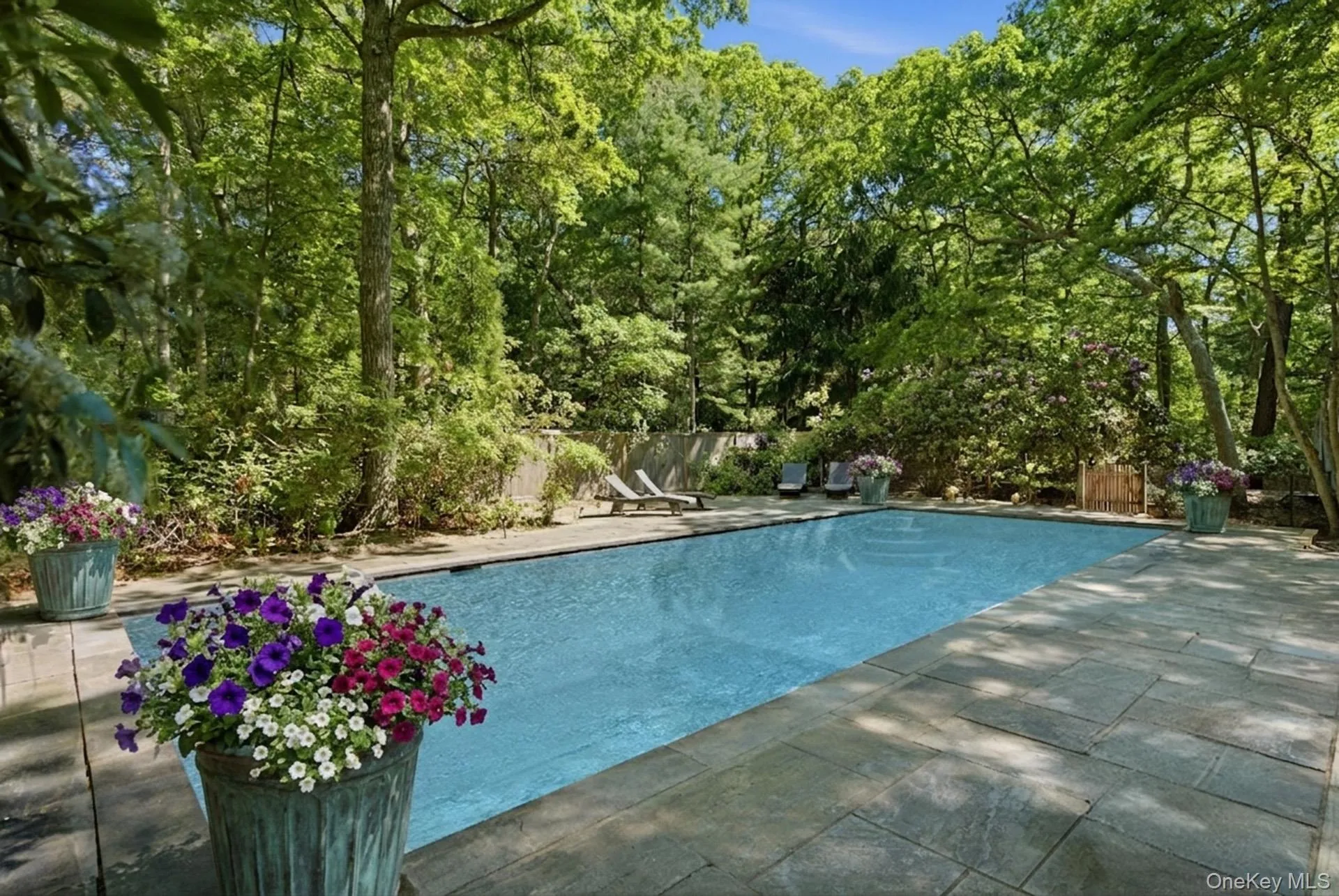 44 Georgica Close Road, East Hampton, NY, 6 Bedrooms Bedrooms, 12 Rooms Rooms,6 BathroomsBathrooms,Residential,For Rent,Georgica Close,0,1018353 44 Georgica Close Road, East Hampton, NY, 6 Bedrooms Bedrooms, 12 Rooms Rooms,6 BathroomsBathrooms,Residential,For Rent,Georgica Close,0,1018353
