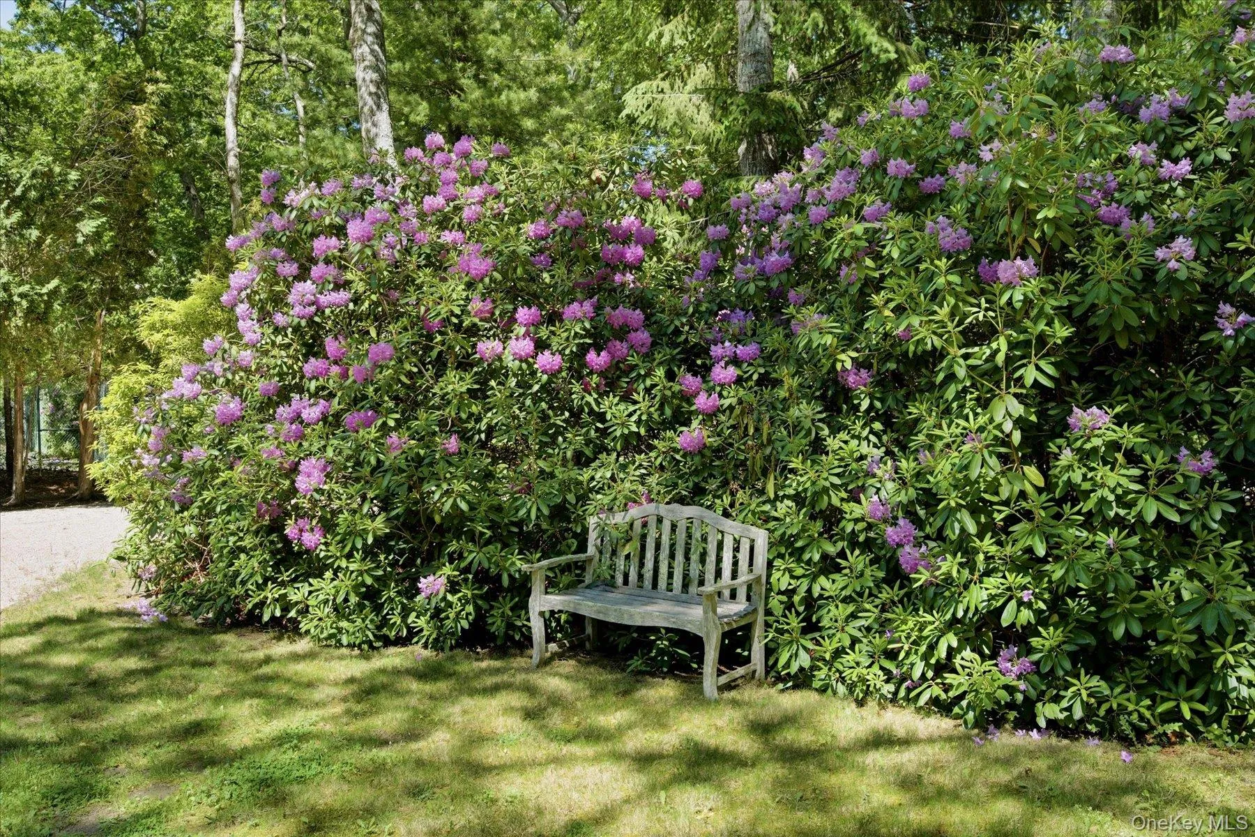 44 Georgica Close Road, East Hampton, NY, 6 Bedrooms Bedrooms, 12 Rooms Rooms,6 BathroomsBathrooms,Residential,For Rent,Georgica Close,0,1018353 44 Georgica Close Road, East Hampton, NY, 6 Bedrooms Bedrooms, 12 Rooms Rooms,6 BathroomsBathrooms,Residential,For Rent,Georgica Close,0,1018353