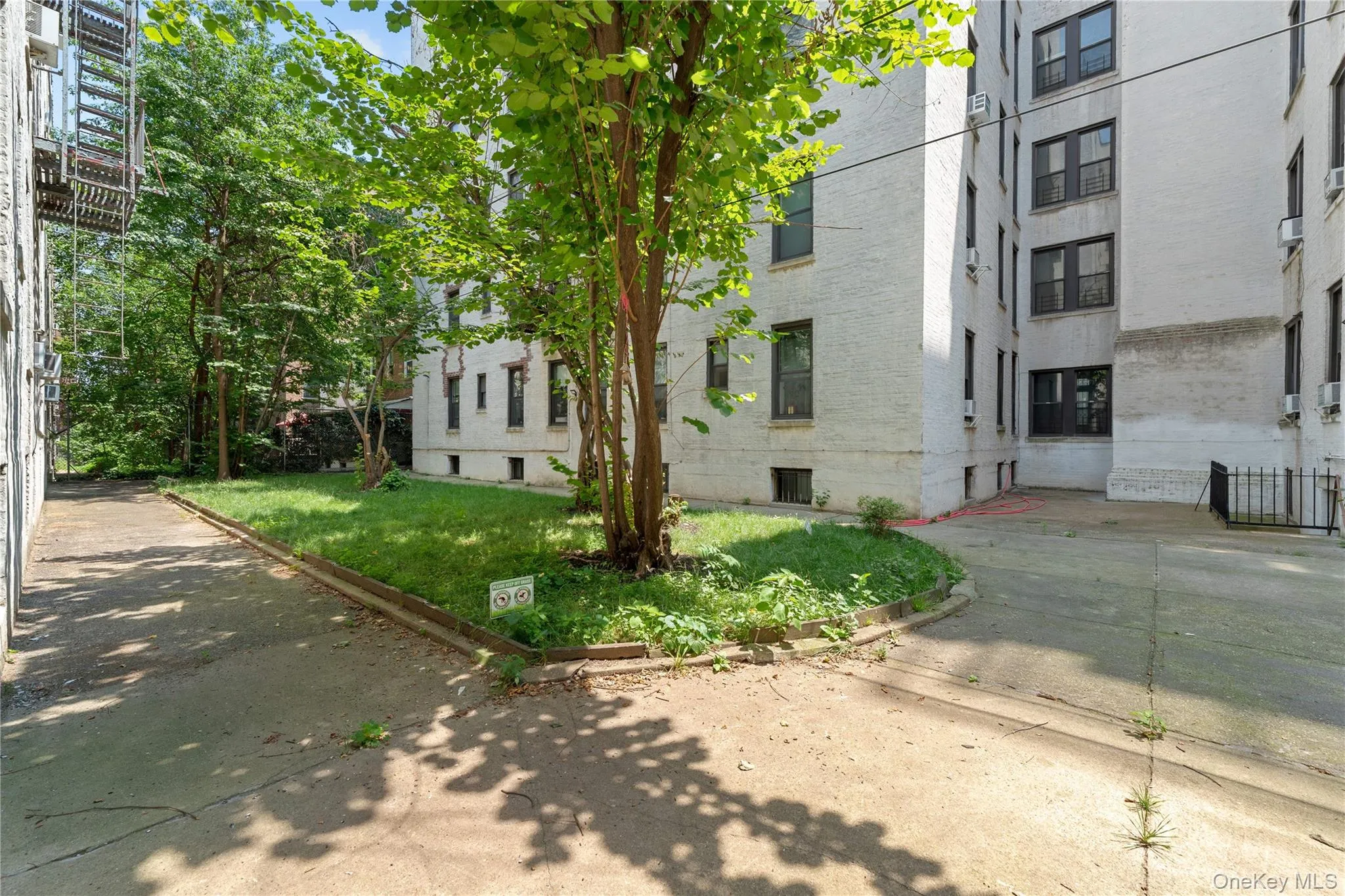 41-41 41st Street, New York, NY, 1 Bedroom Bedrooms, 3 Rooms Rooms,1 BathroomBathrooms,Residential,For Rent,41st,0,1018391 41-41 41st Street, New York, NY, 1 Bedroom Bedrooms, 3 Rooms Rooms,1 BathroomBathrooms,Residential,For Rent,41st,0,1018391