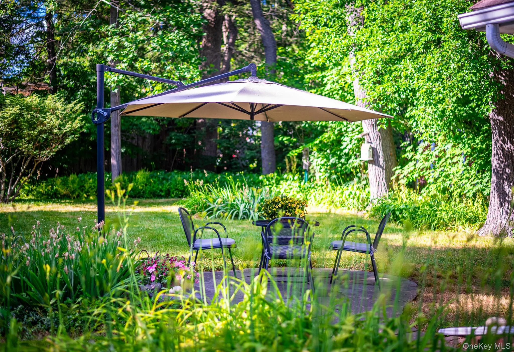 Patio Patio